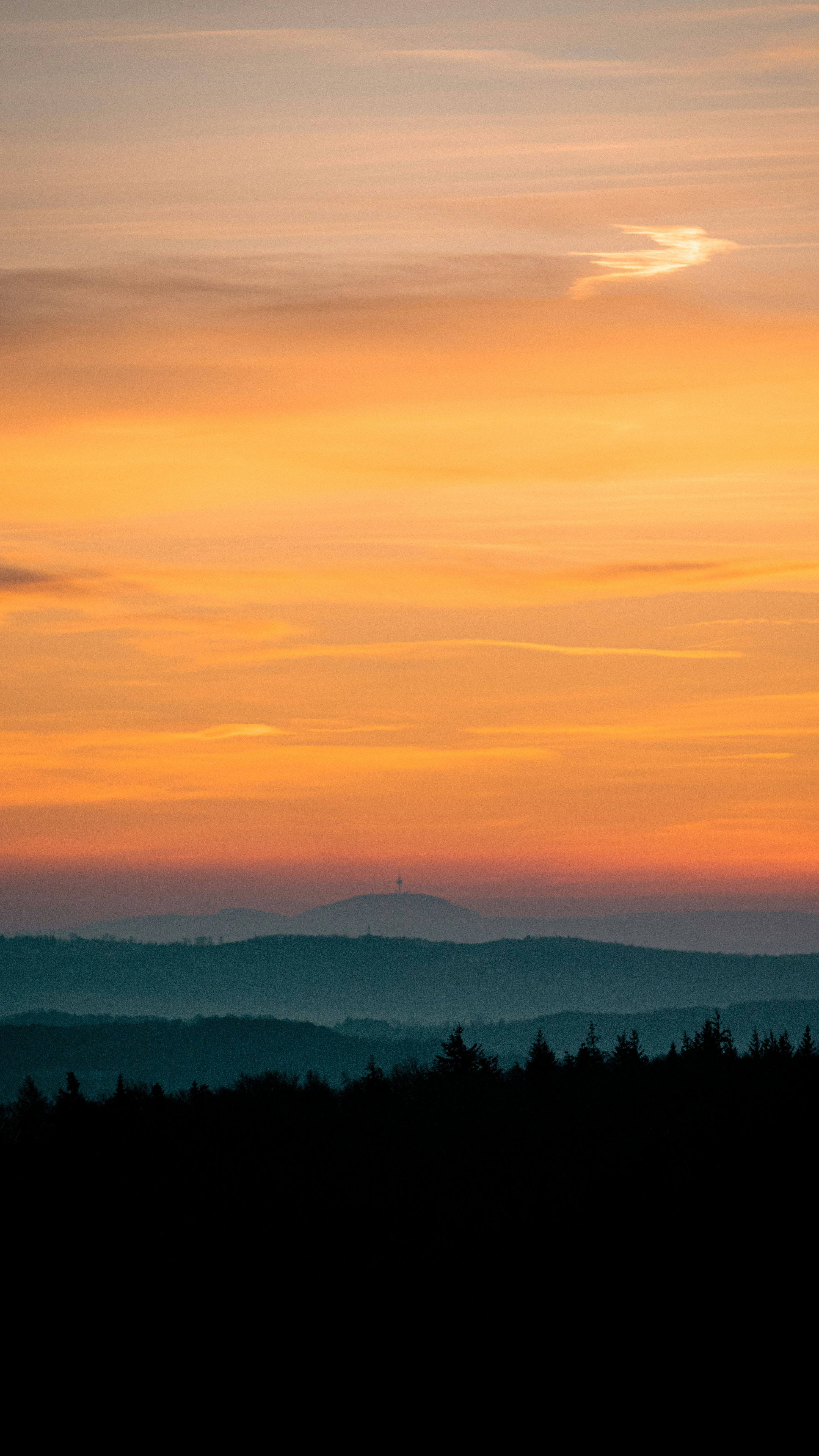 Landscapes