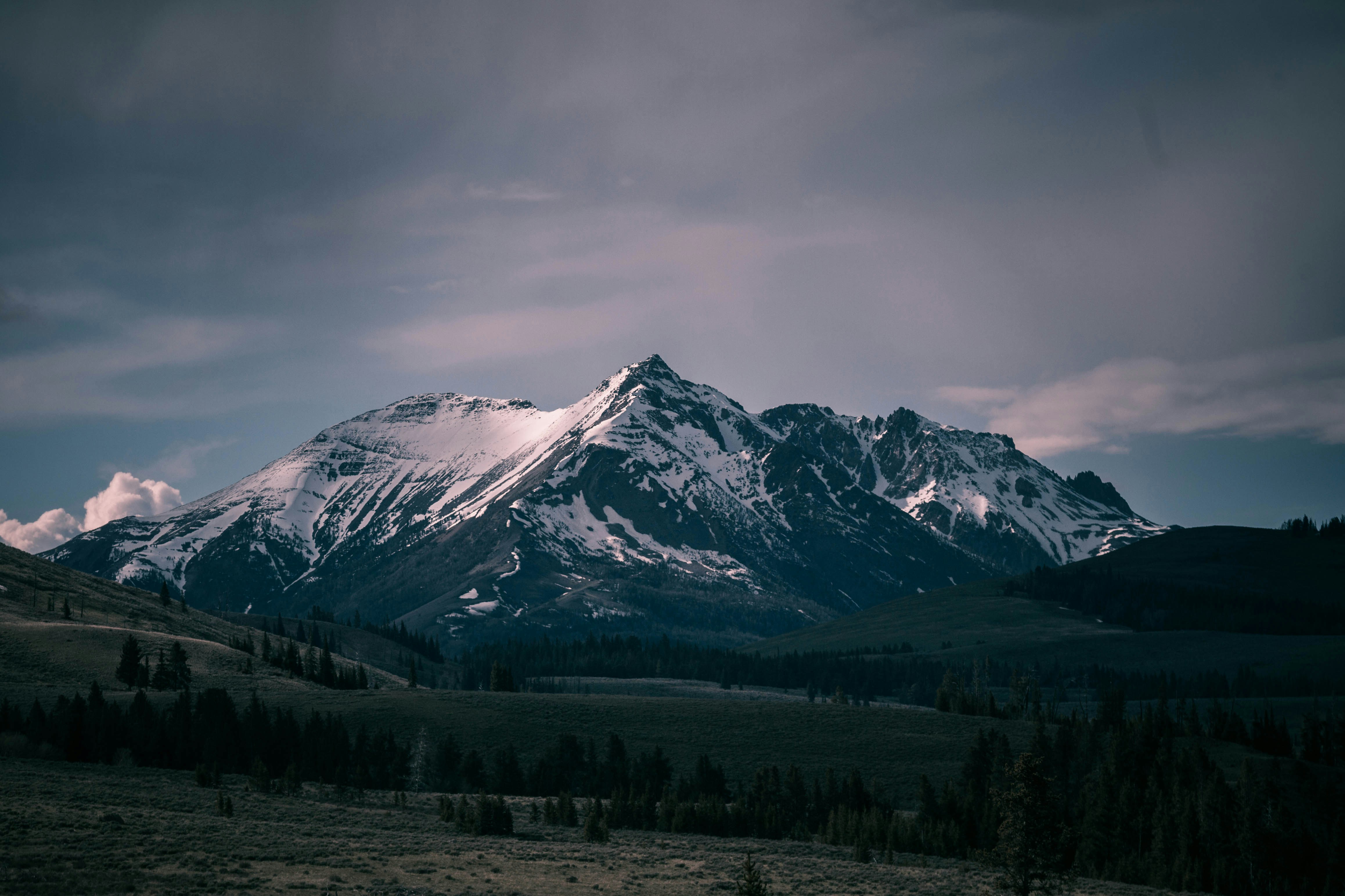 Snow-capped Mountains and Grassland Landscape