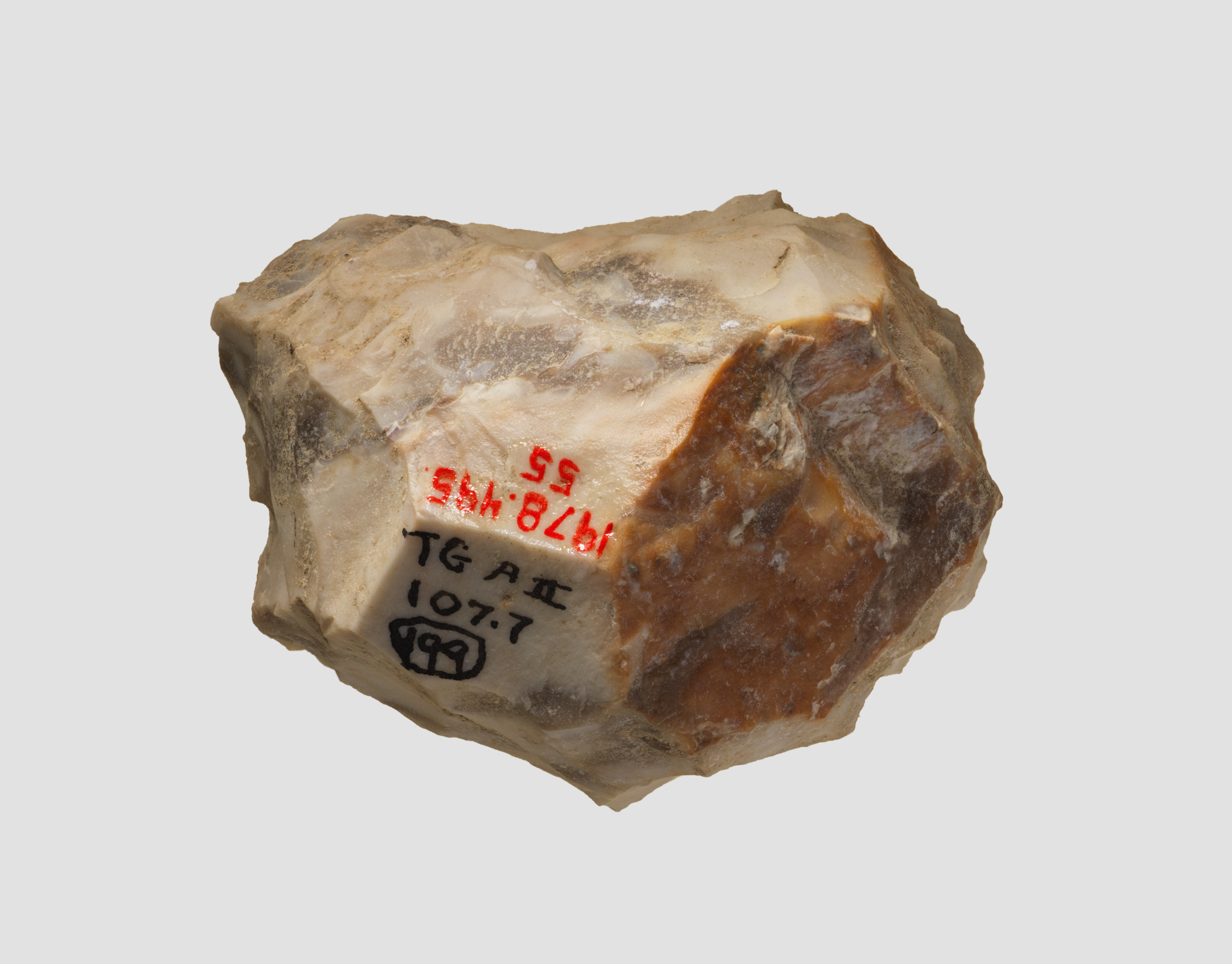 Labeled Flint Stone Specimen