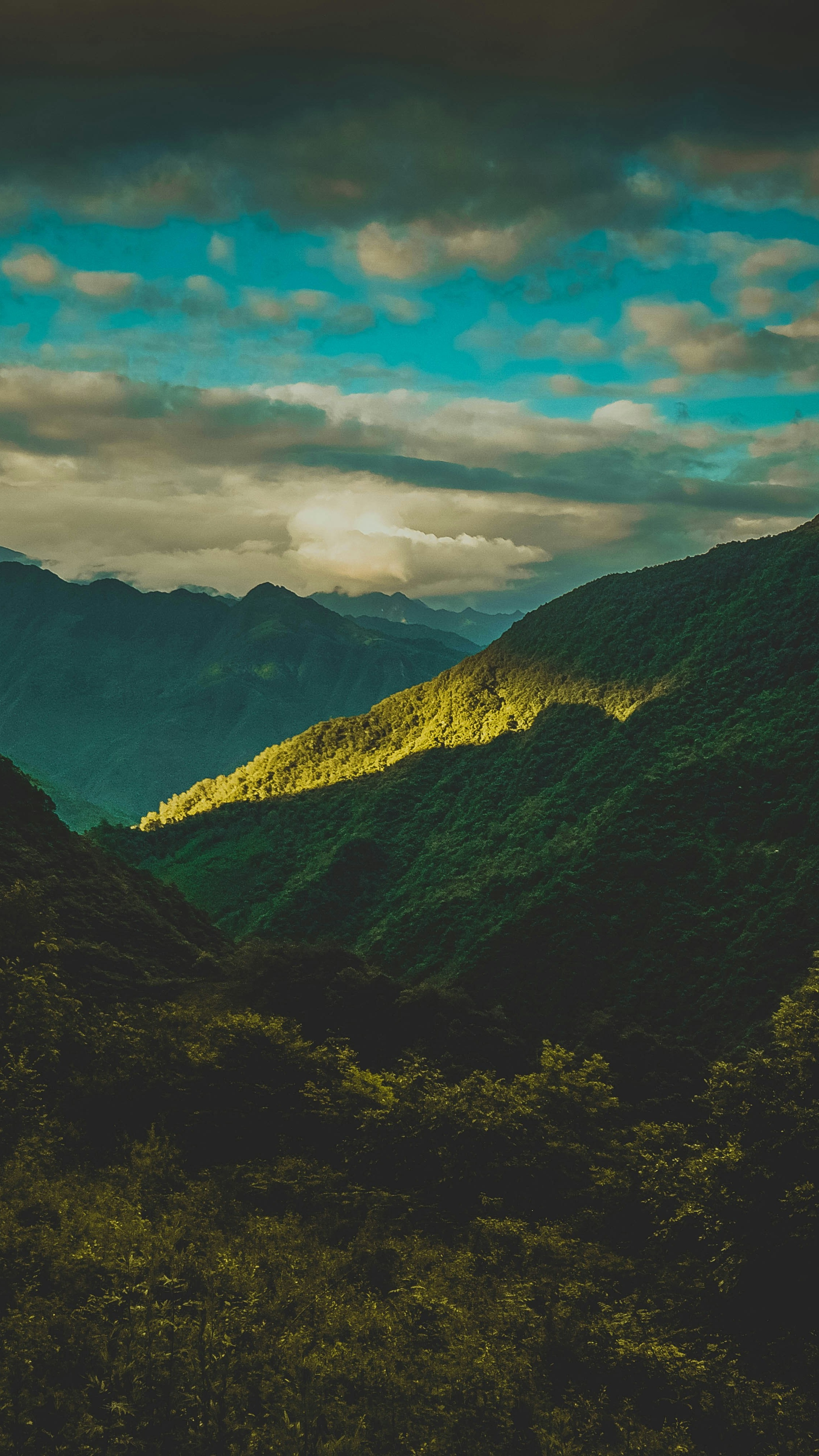 Landscapes