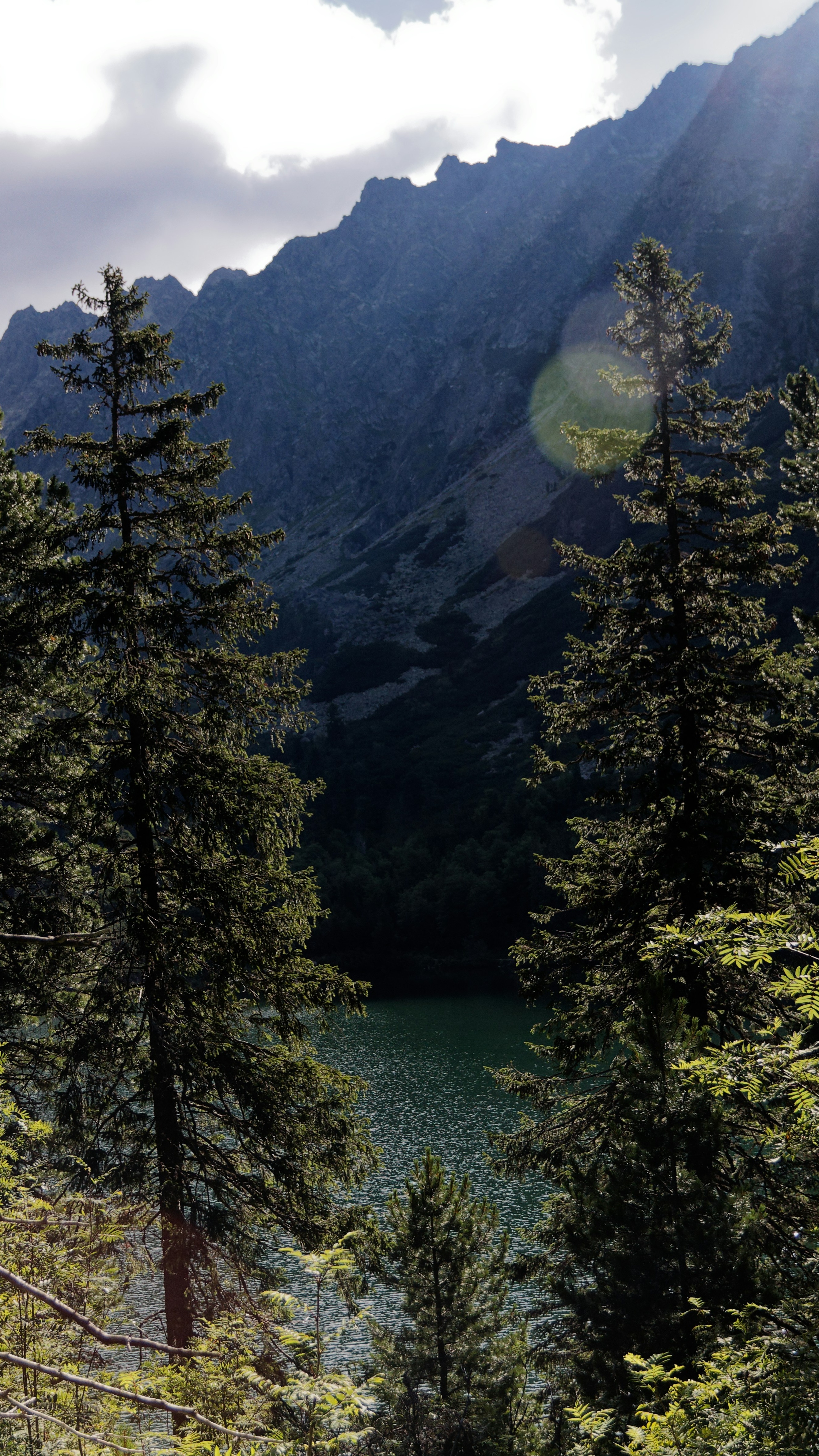 Landscapes