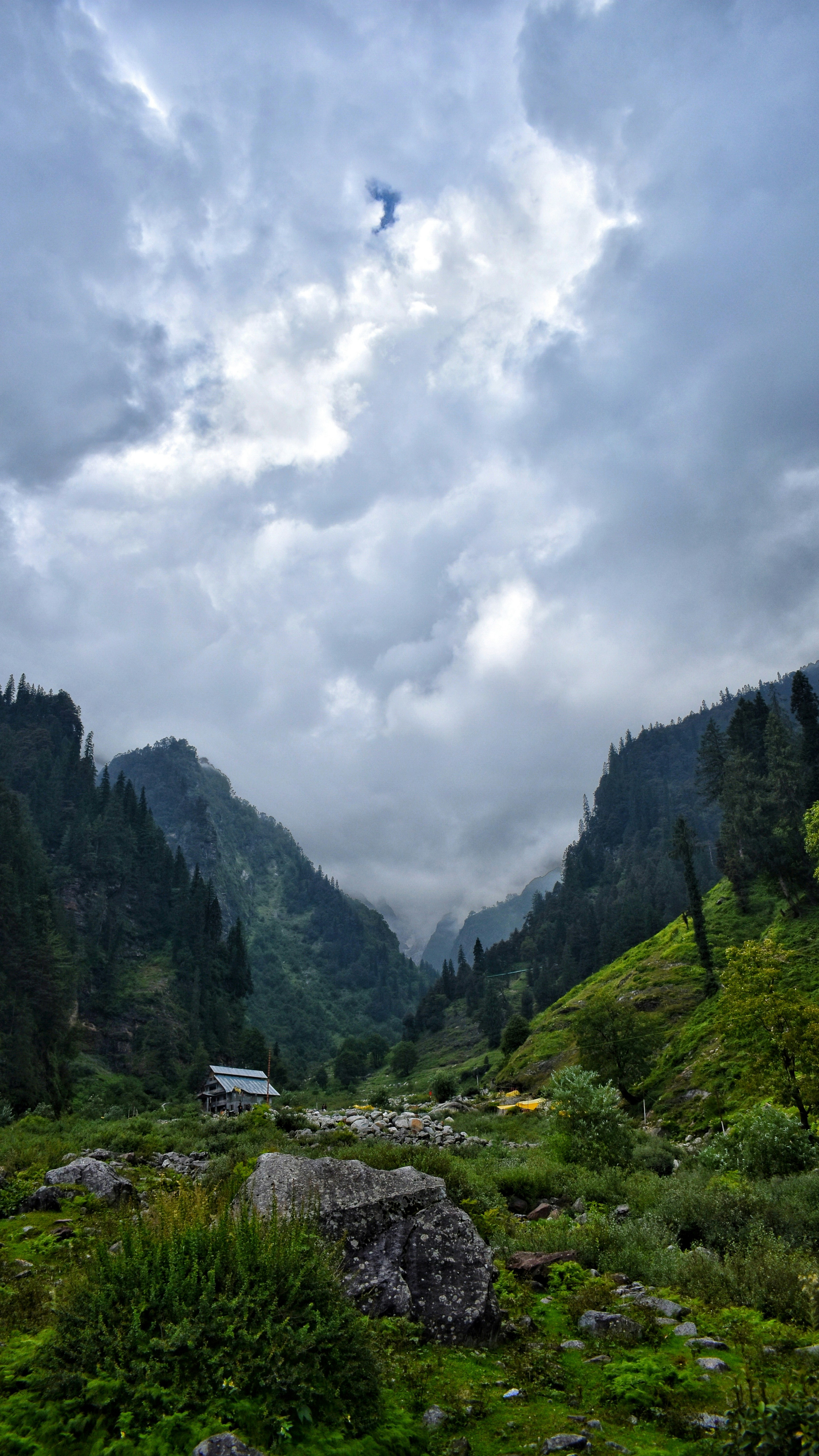 Landscapes