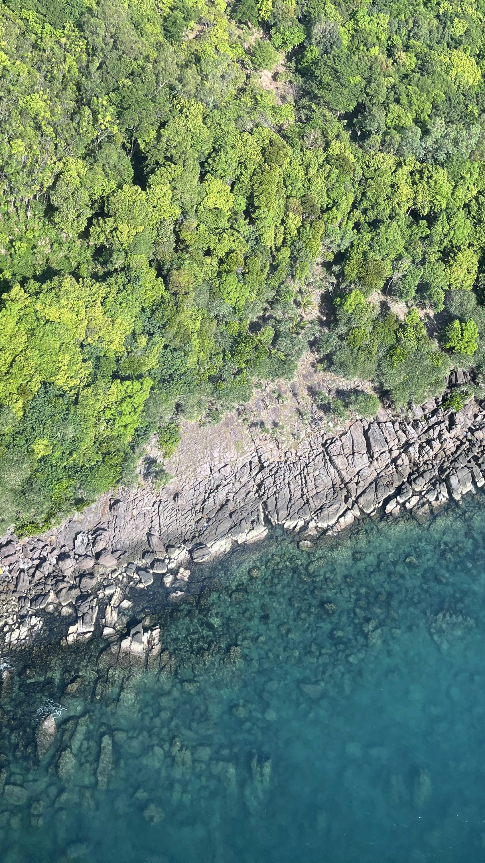 Image 1581745 — Art