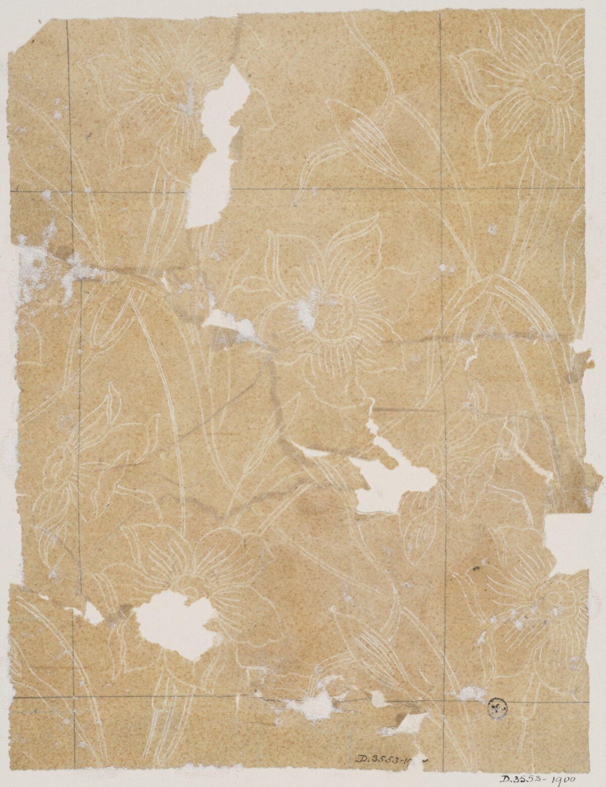 Fragmented Narcissus Line Drawing on Old Paper