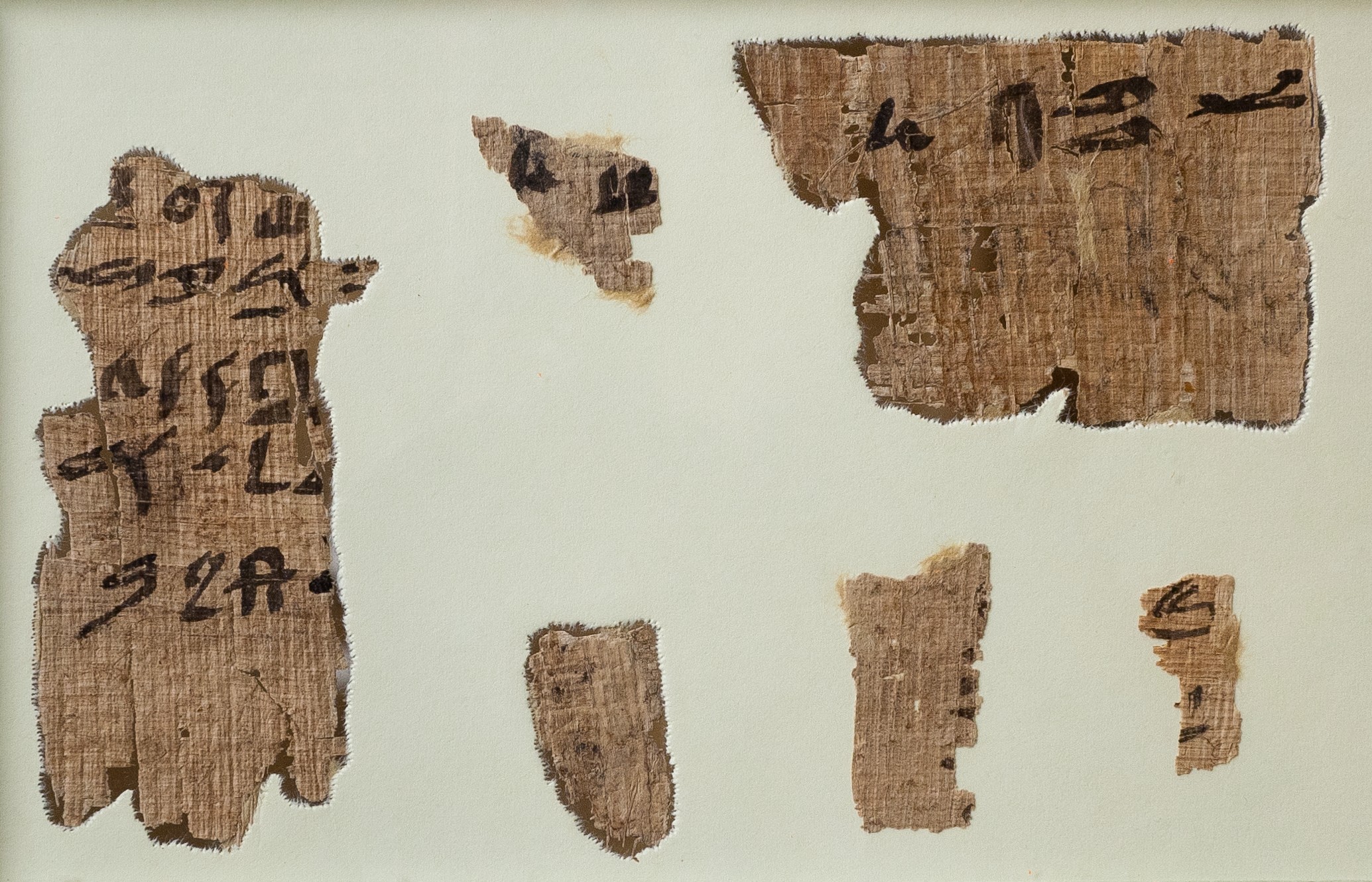 Ancient Egyptian Papyrus Fragments