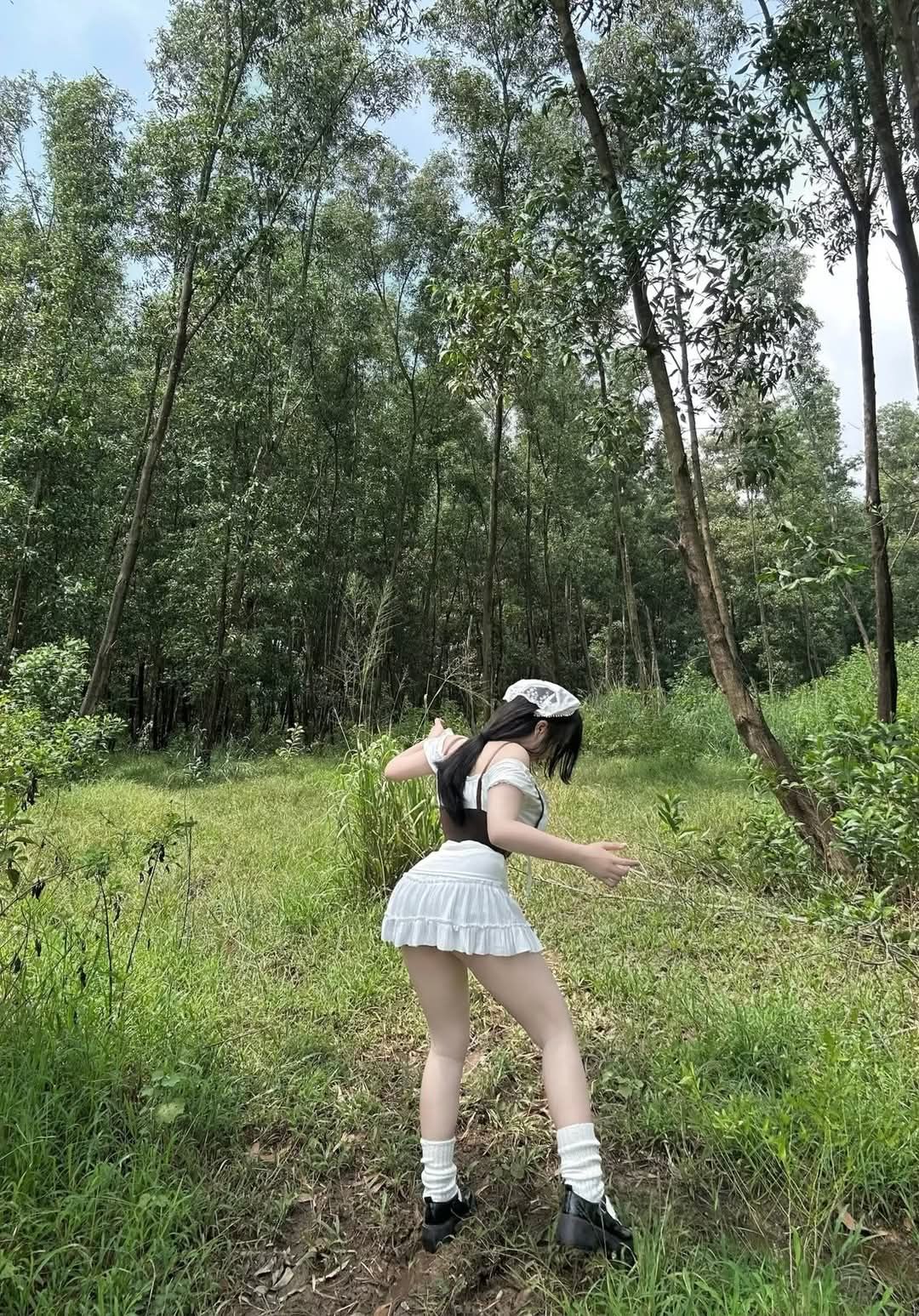 Forest & Flora