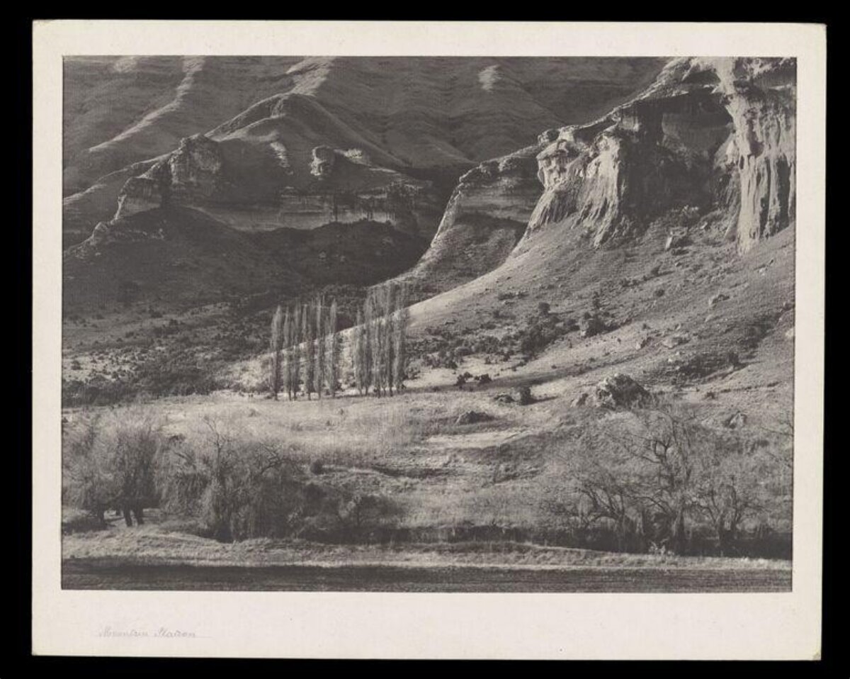Mountain Meadow Landscape