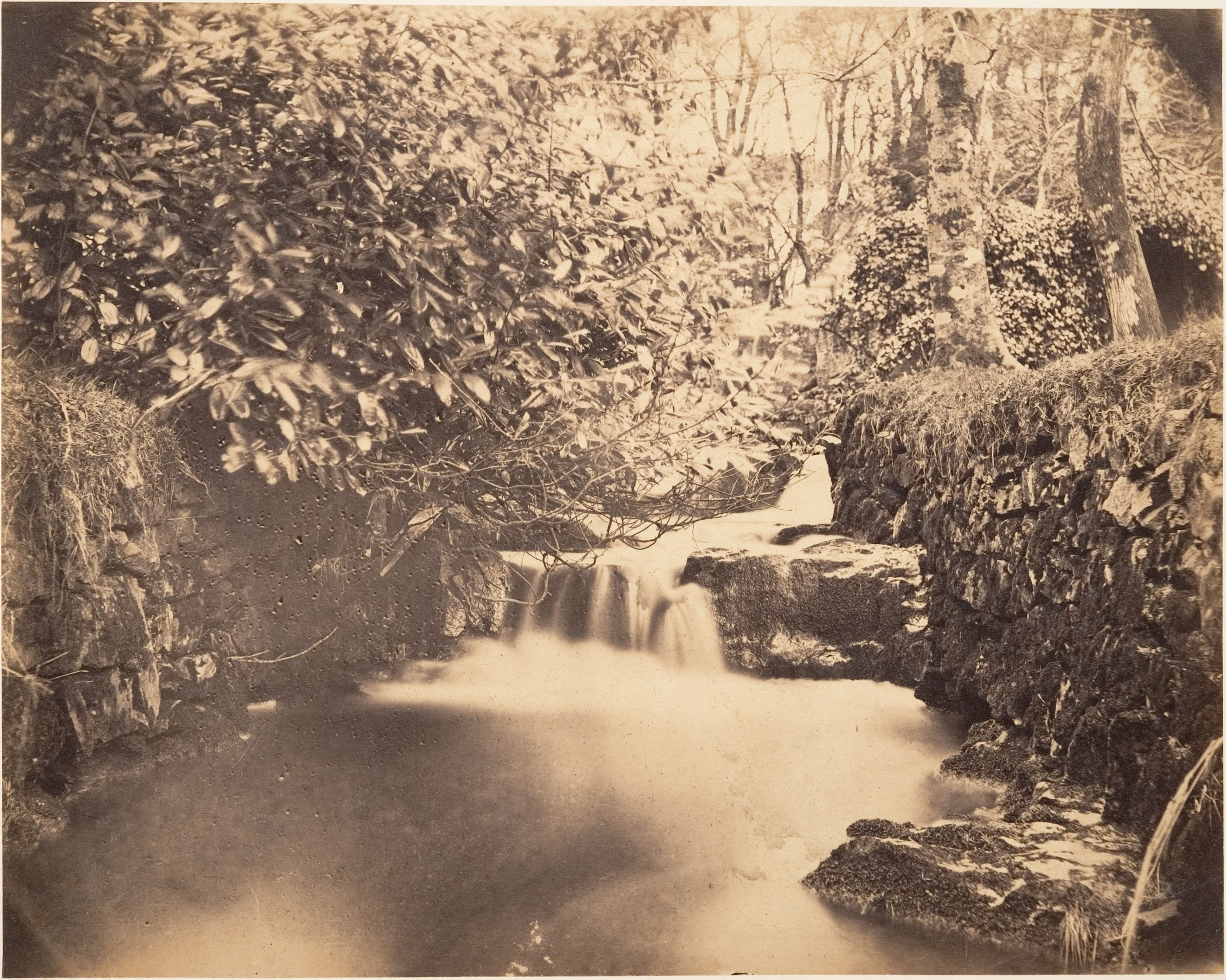 Vintage Forest Stream Waterfall