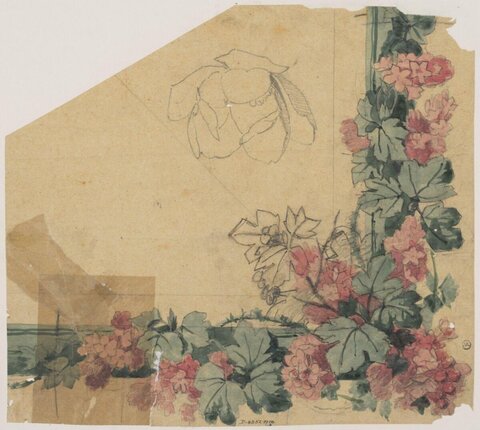 Study Sketch of Flowering Vines