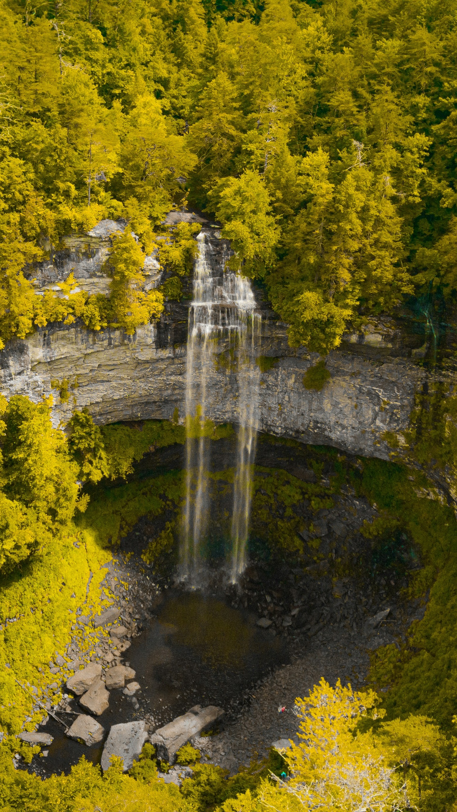 Wallpapers