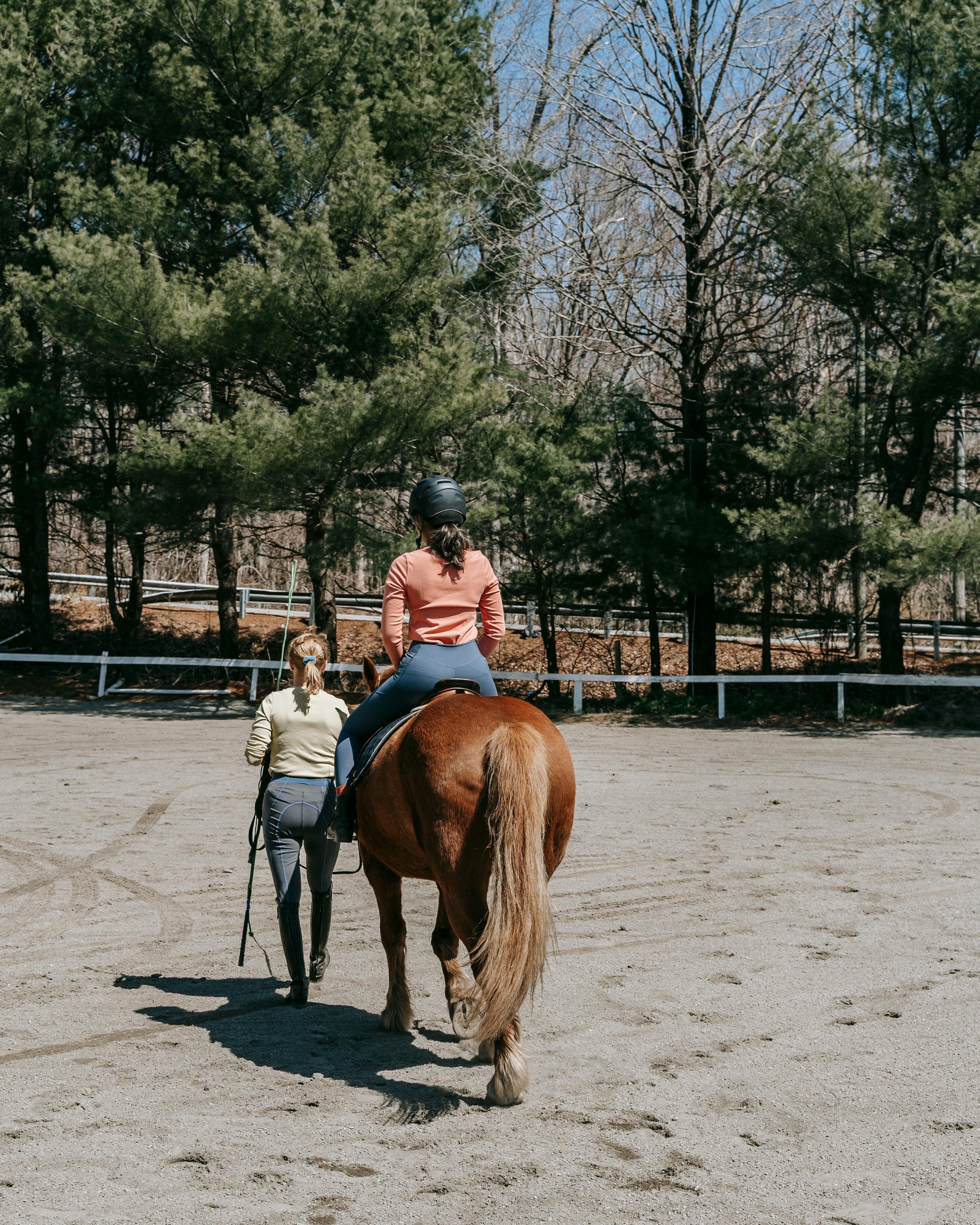Outdoor Horse Riding Lesson