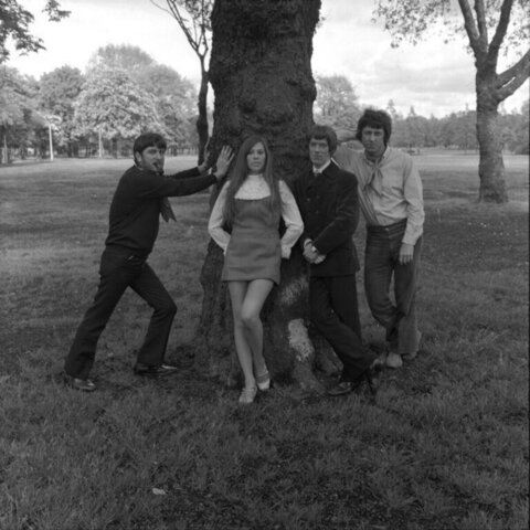 Four People Posing By Park Tree