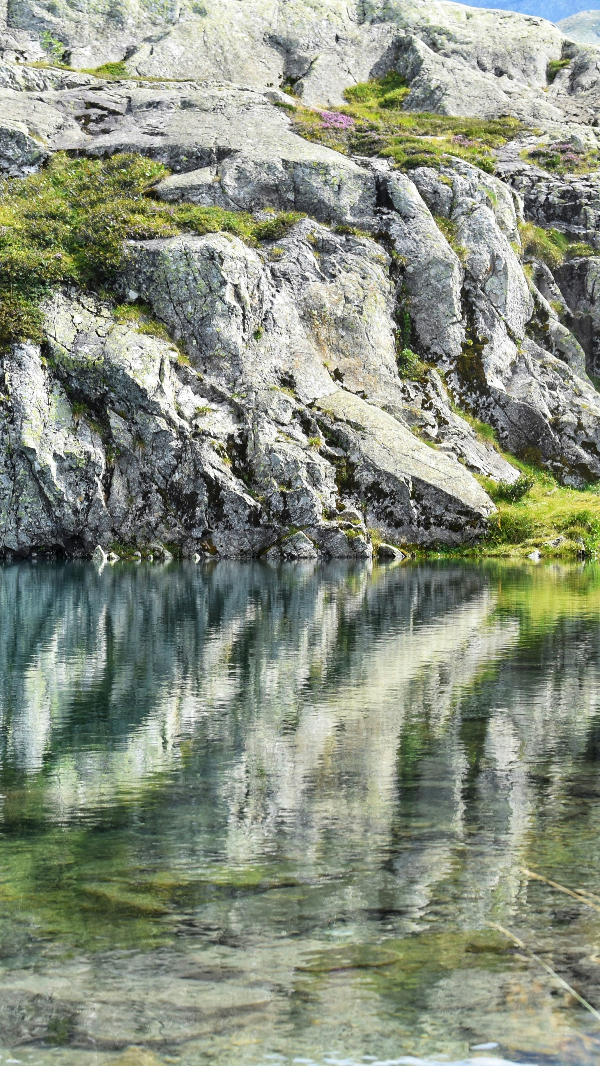 Wallpapers