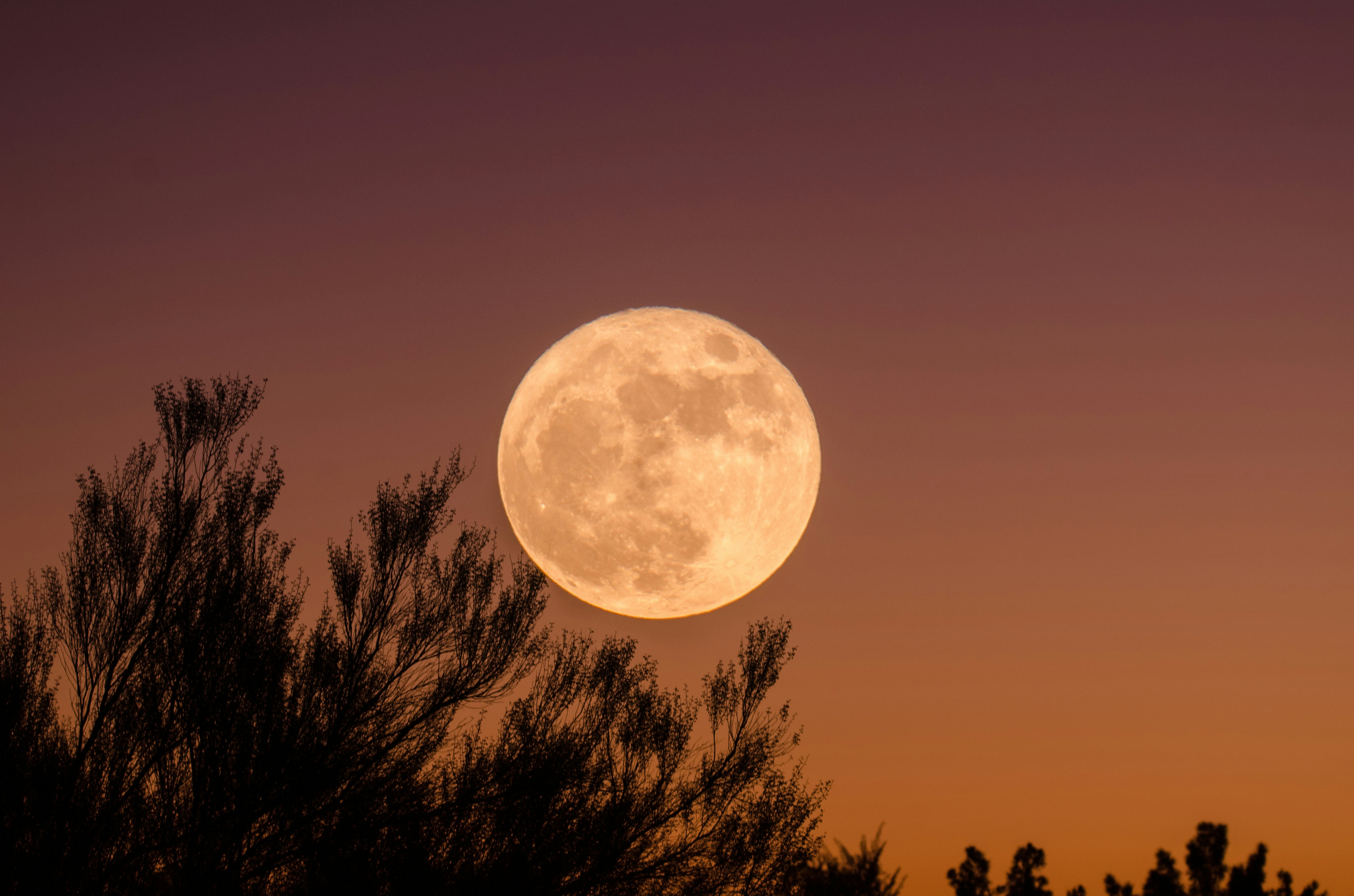 Full Moon At Dusk