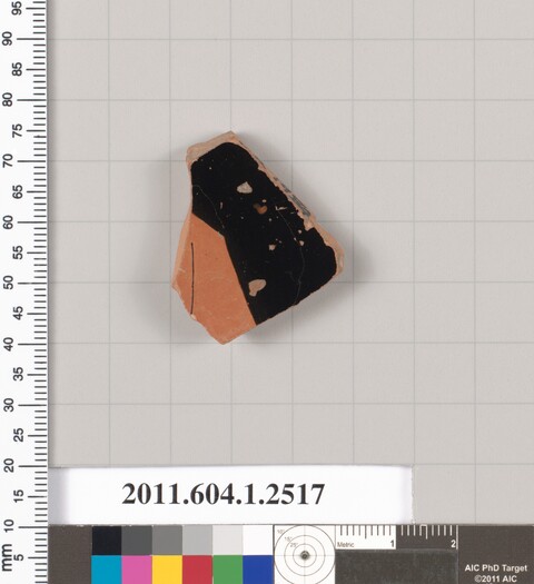 Ancient Pottery Fragment on Measurement Grid
