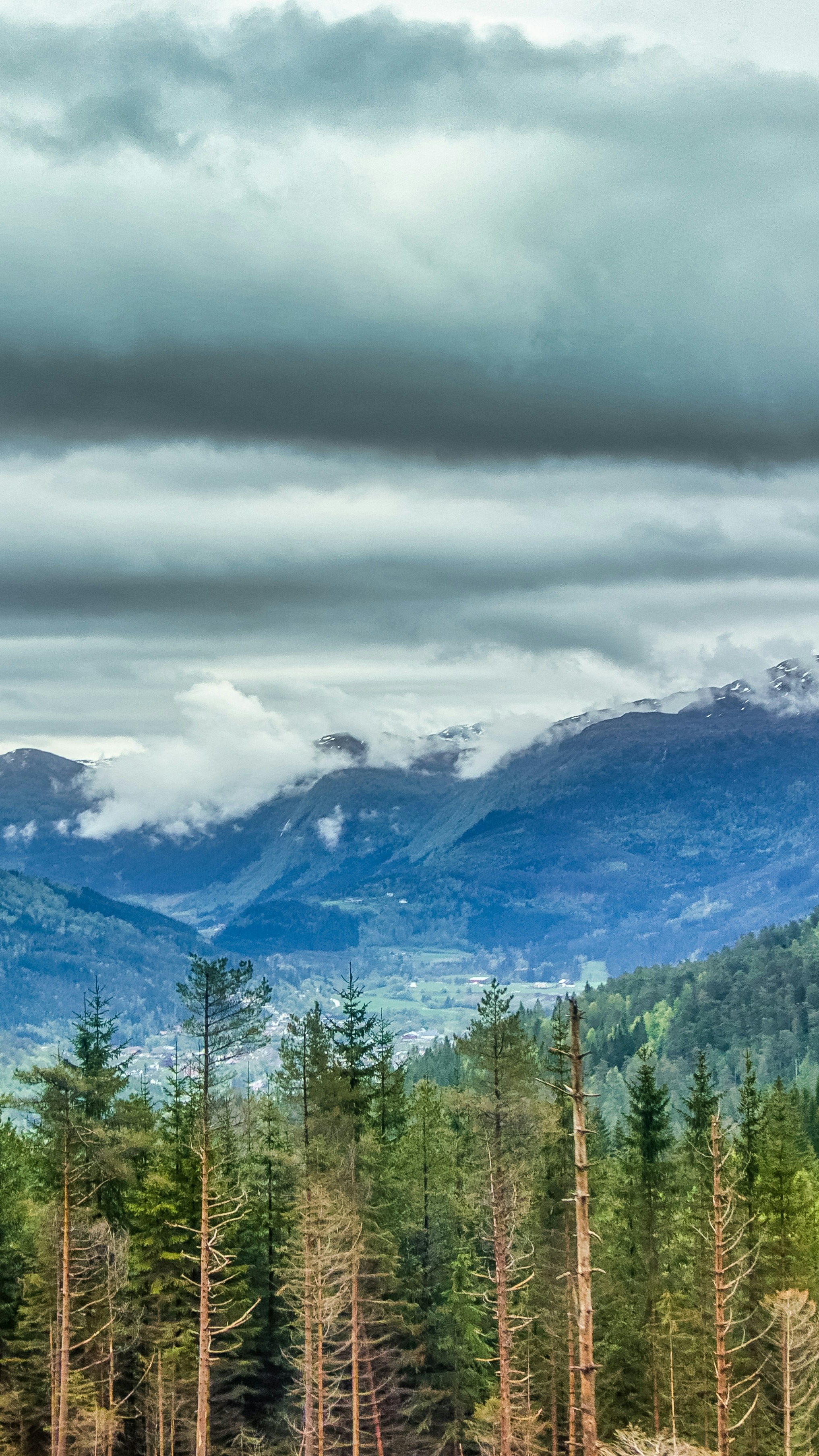 Cloudy Mountain Valley Forest View