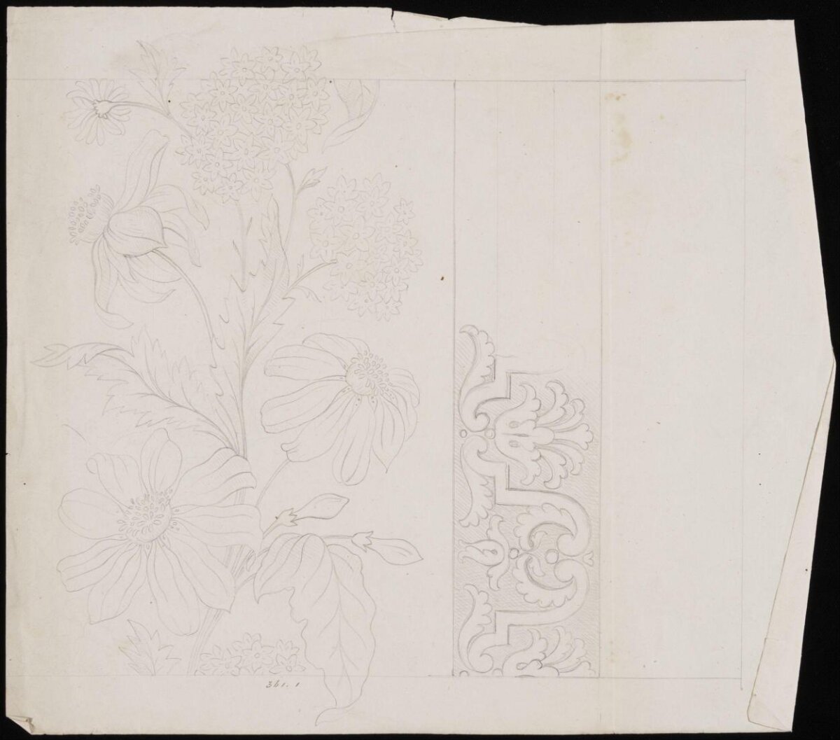 Pencil Sketch of Flowers and Ornament