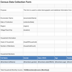 Census Data Collection Form