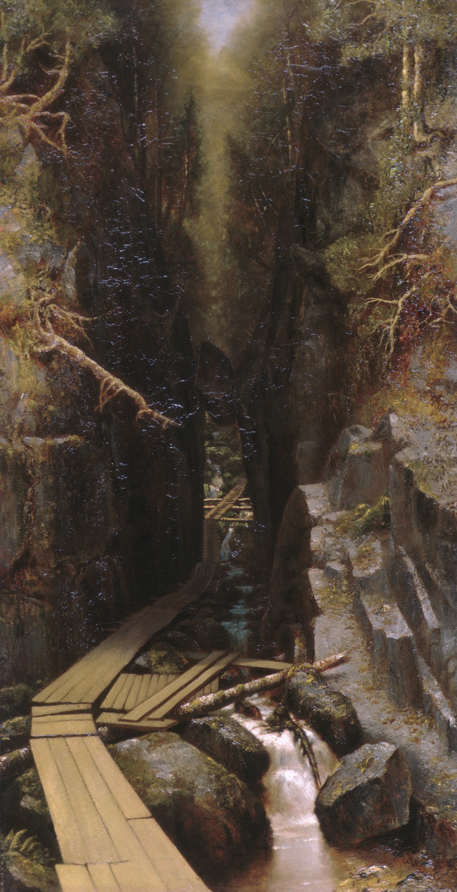 Forest Gorge with Mountain Stream