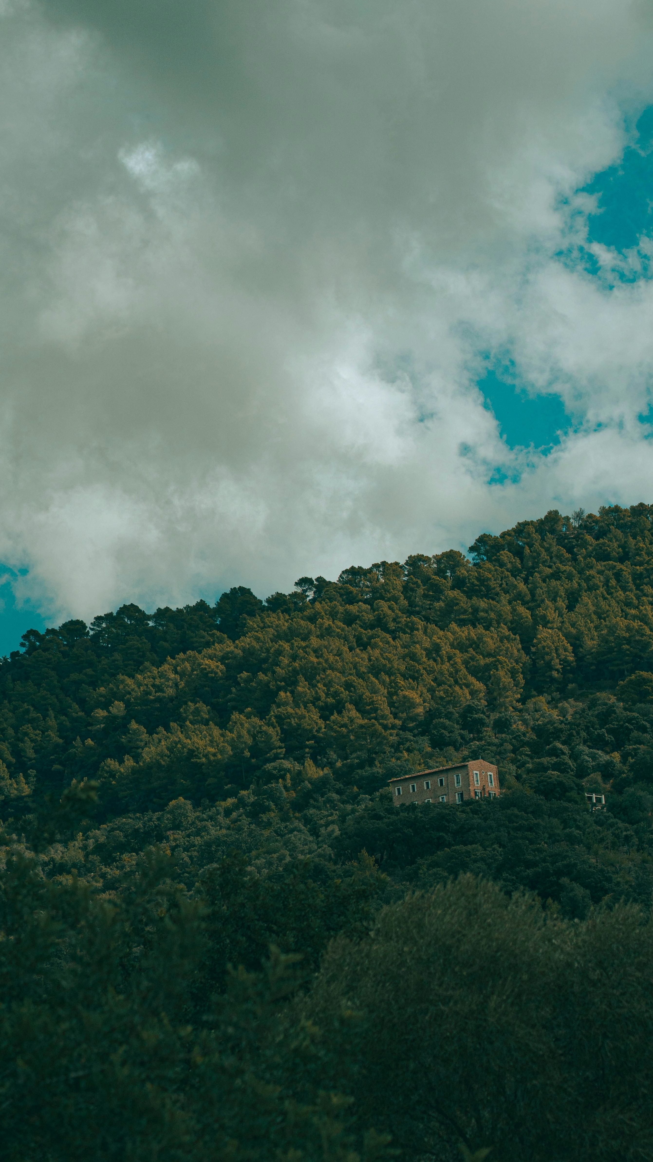 Wallpapers