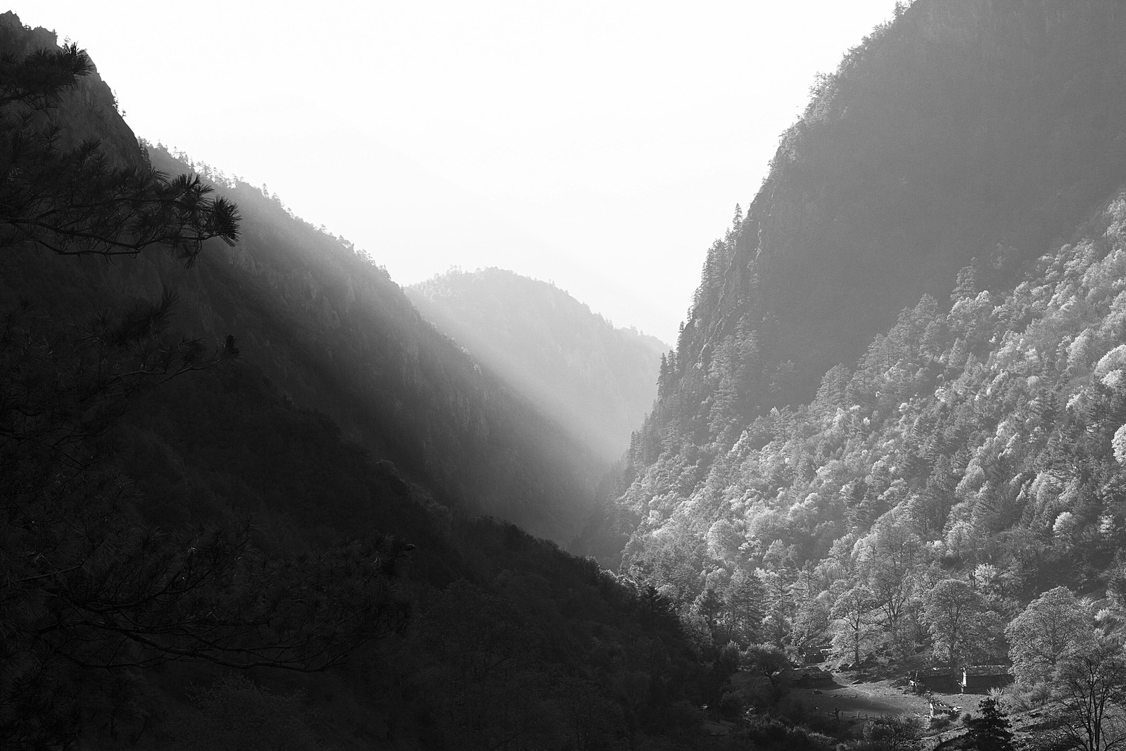 Black and White Sunlit Mountain Valley