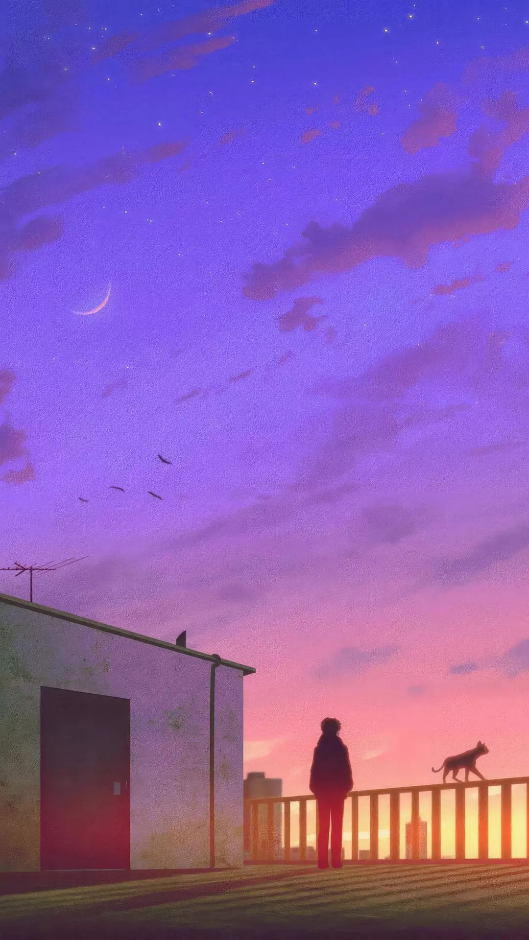 Wallpapers