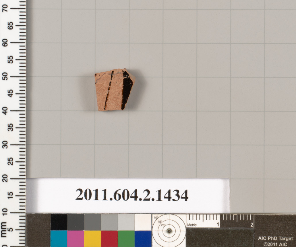 Archaeological Ceramic Shard Specimen