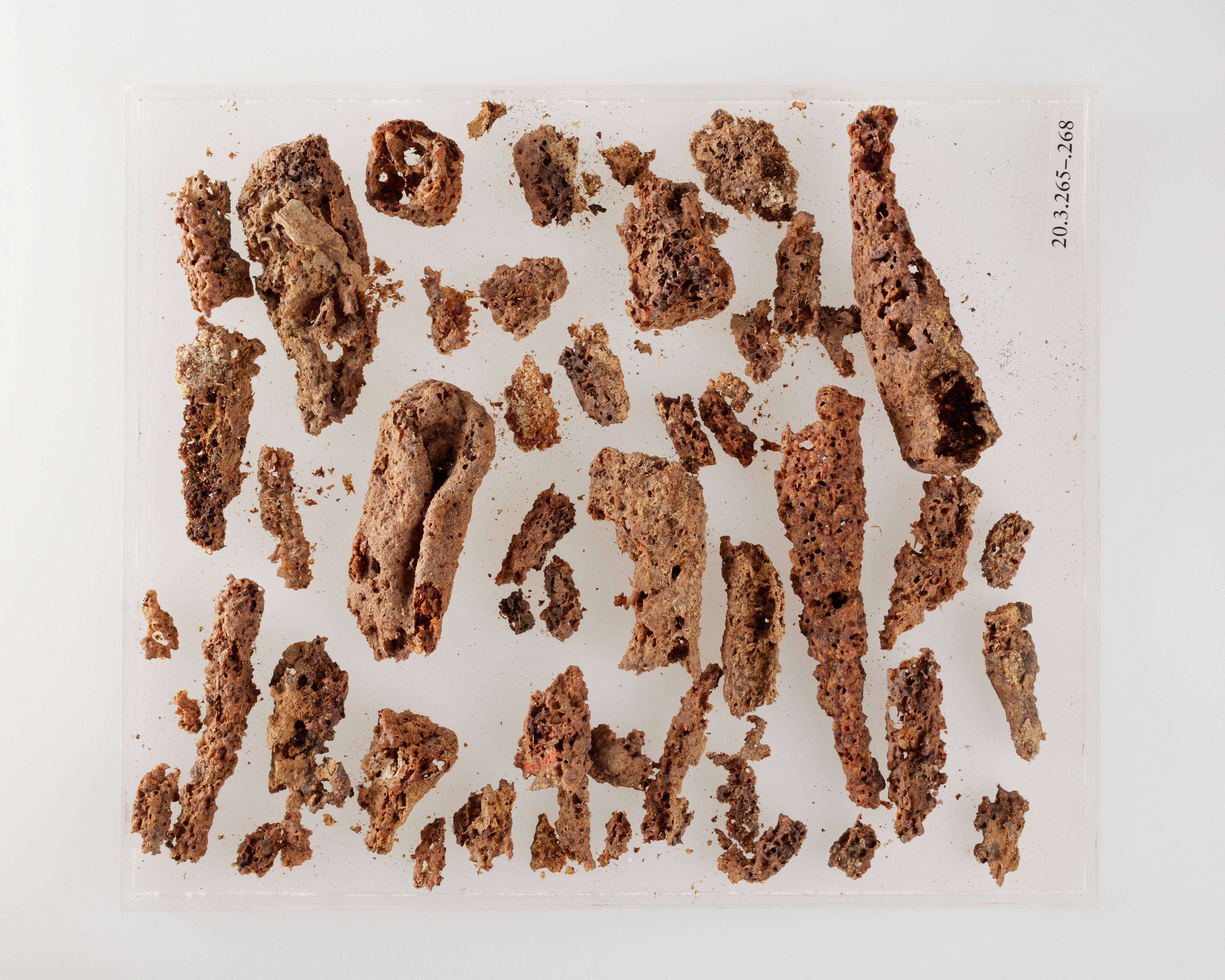 Fragments of Corroded Iron Artifact