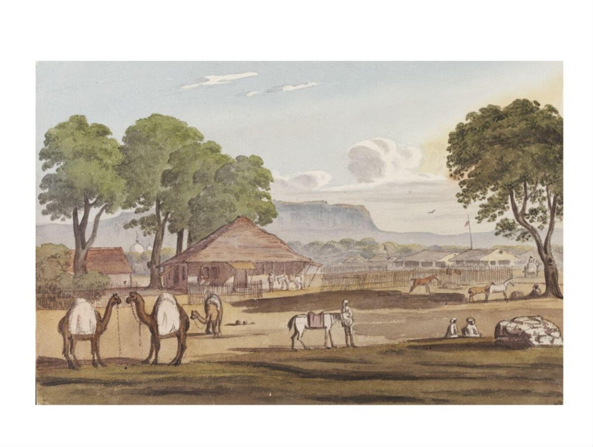 Camel Camp at Outpost Settlement