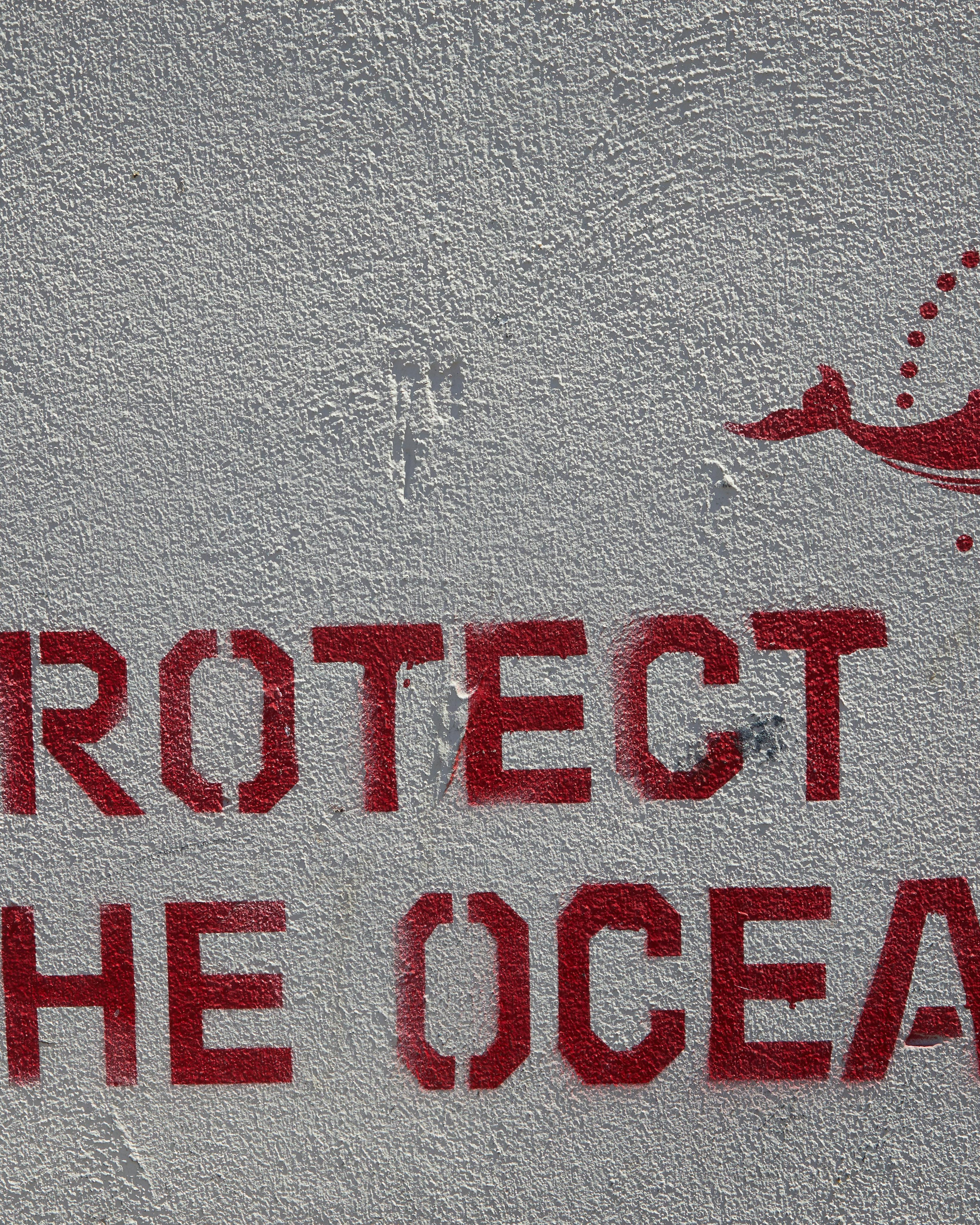 Protect The Ocean Wall Mural