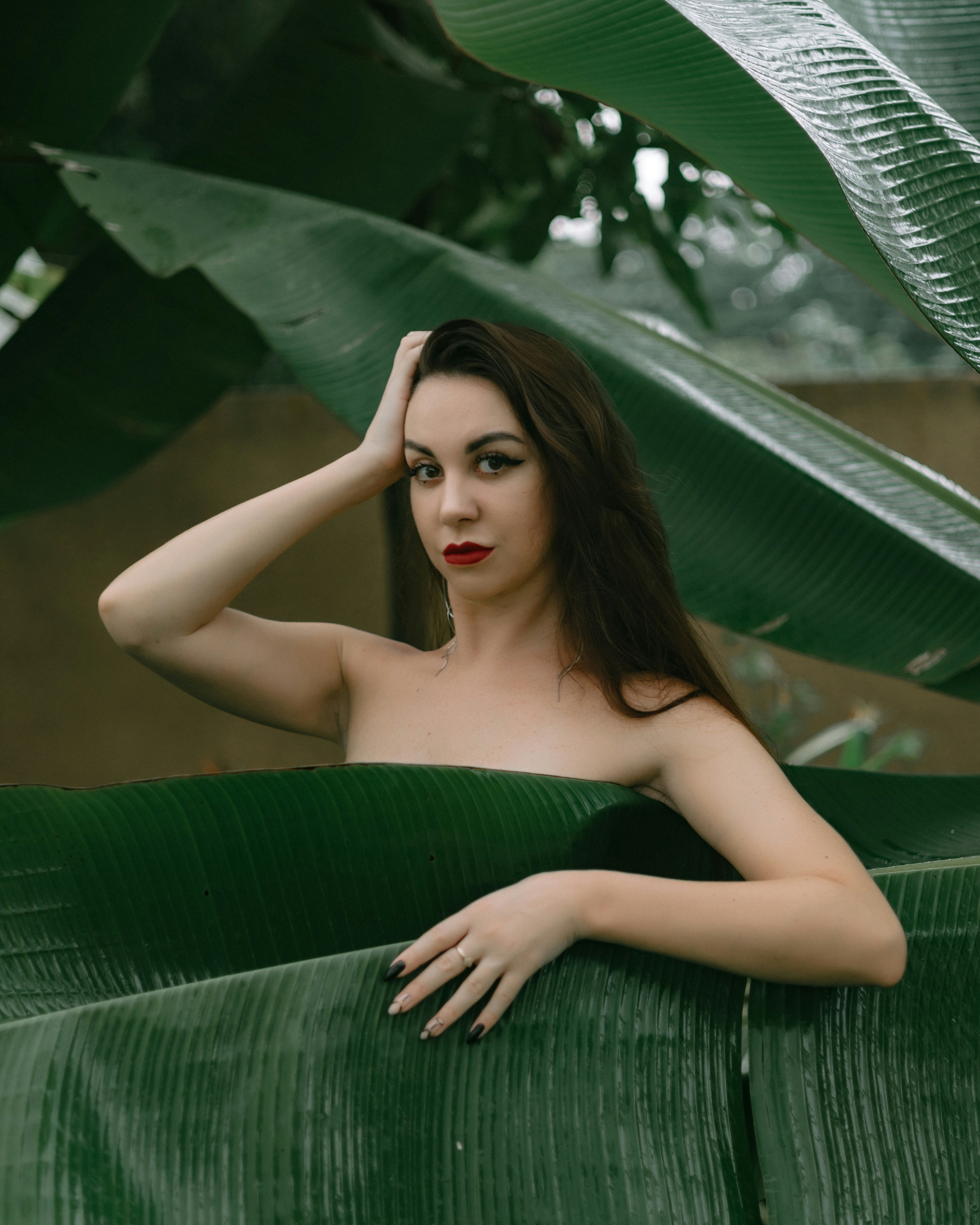 Forest & Flora