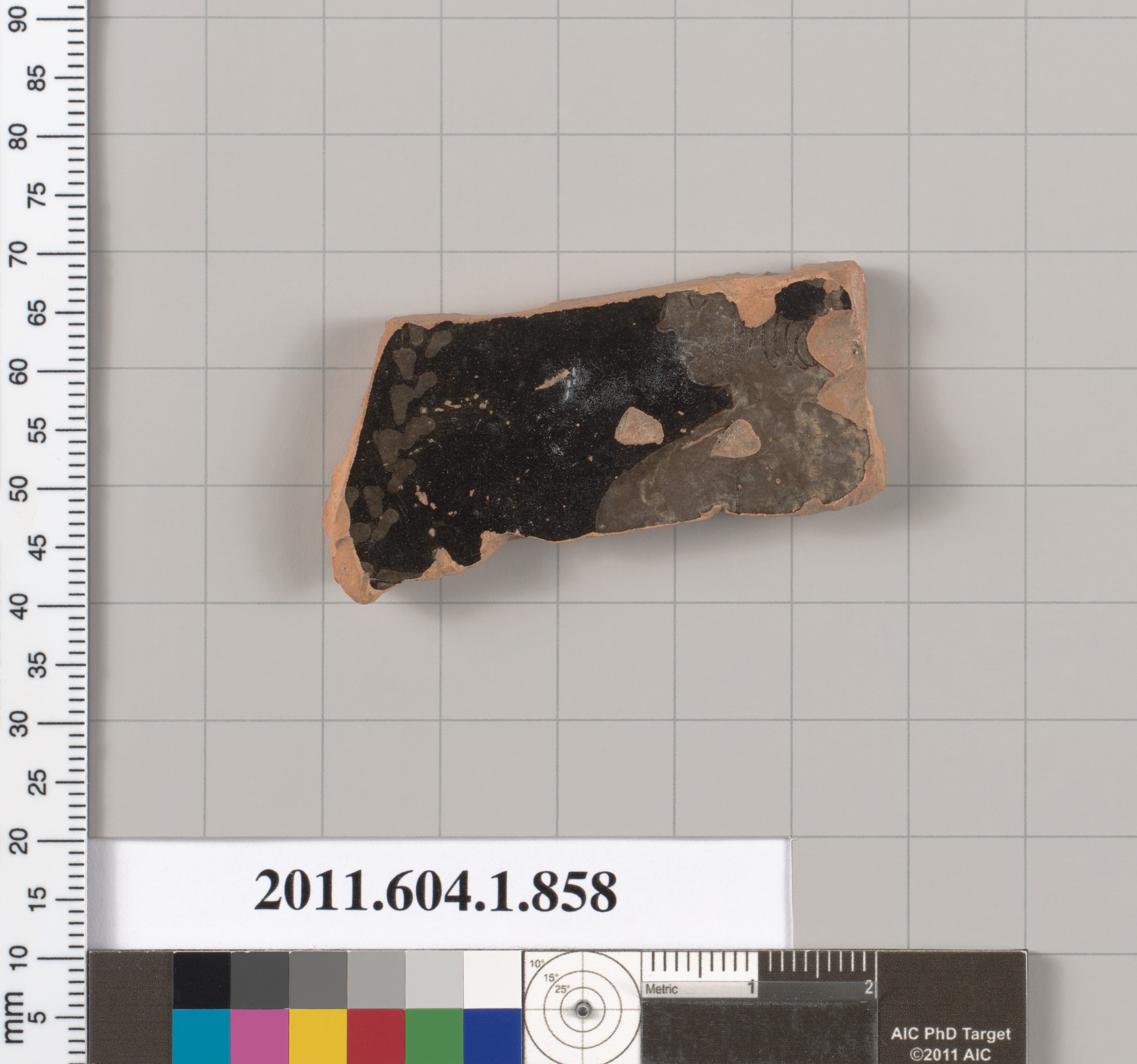 Ancient Pottery Fragment Archaeological Sample