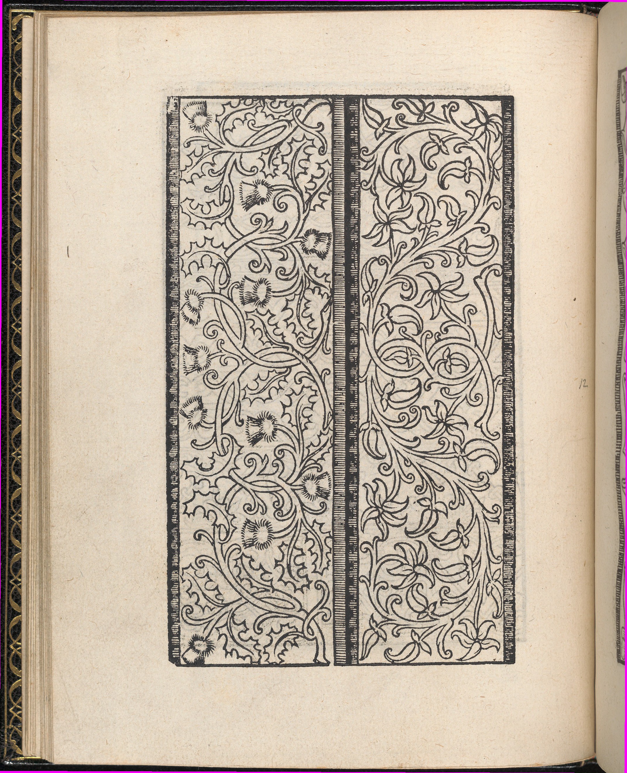 Vintage Floral Vine Pattern on Book Page
