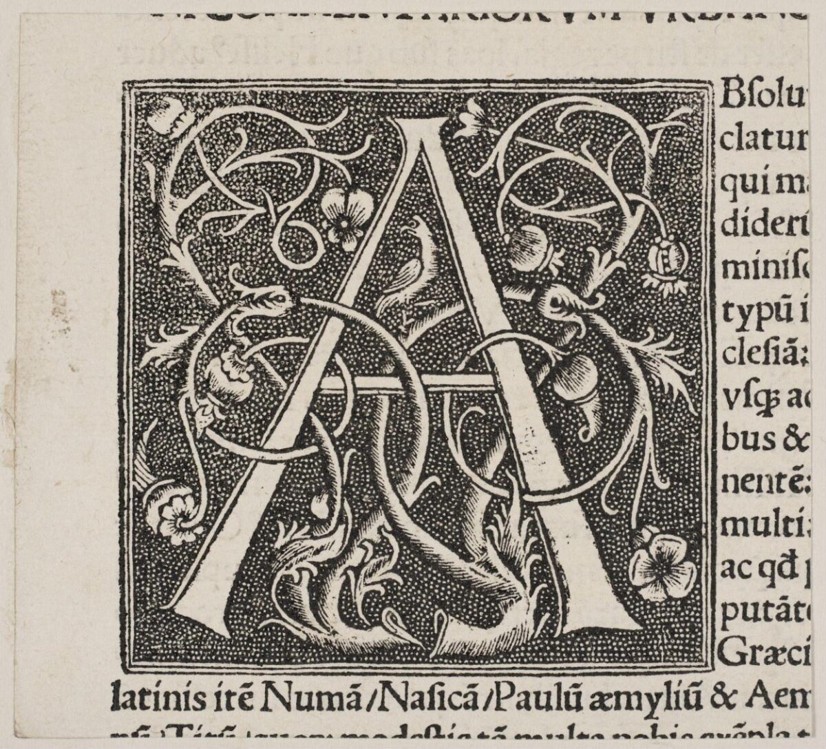 Ornate Woodcut Initial Letter A