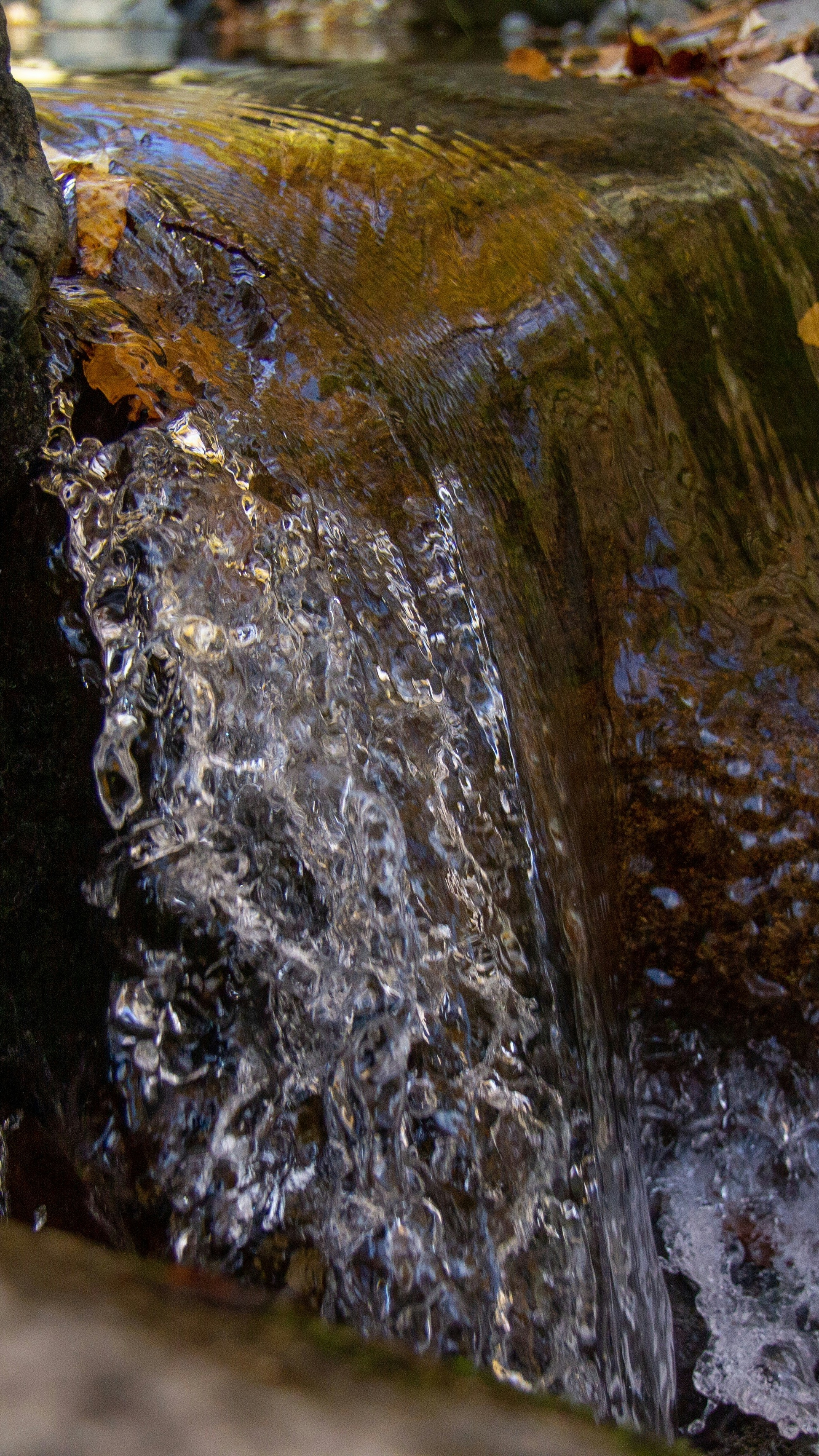 Image 1568848 — Art