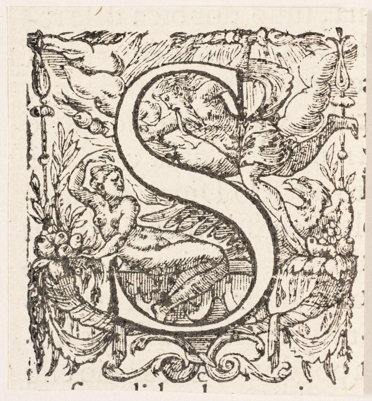 Ornamented Woodcut Initial Letter S
