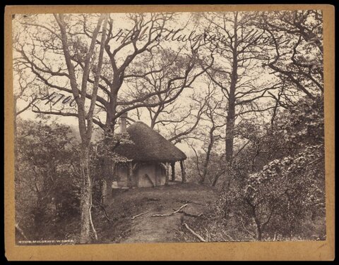 Thatched Hut in Mulgrave Woods
