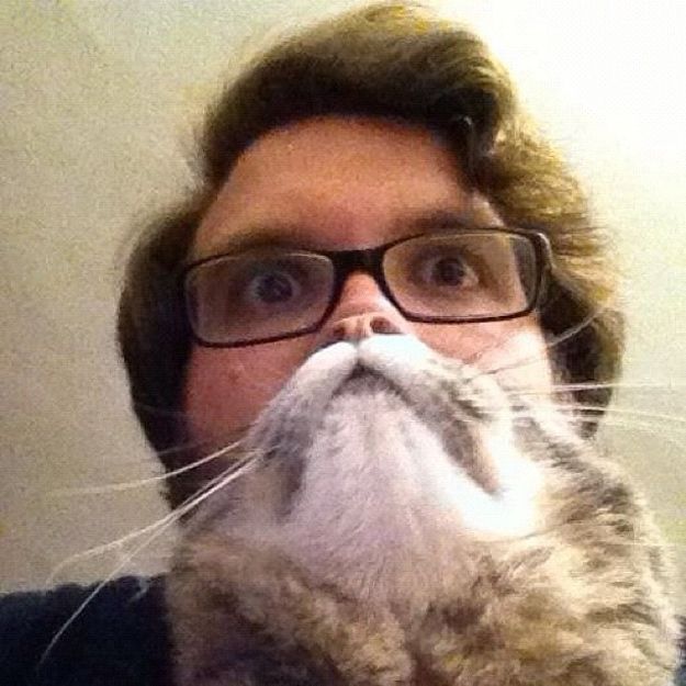Cat Beard Optical Illusion