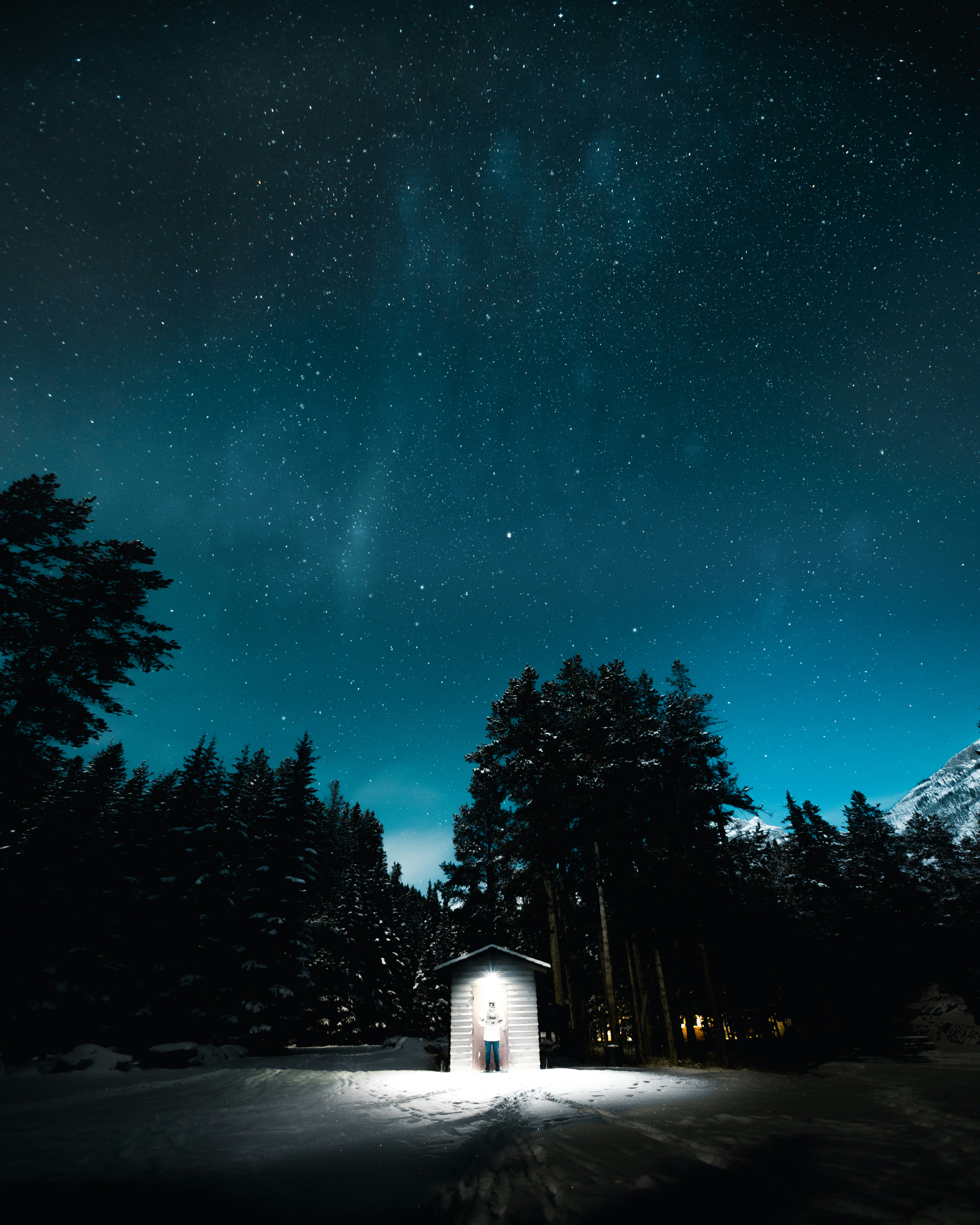 Starry Night Over Snowy Forest Cabin