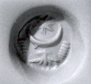 Close-up of Phillips Screw Head