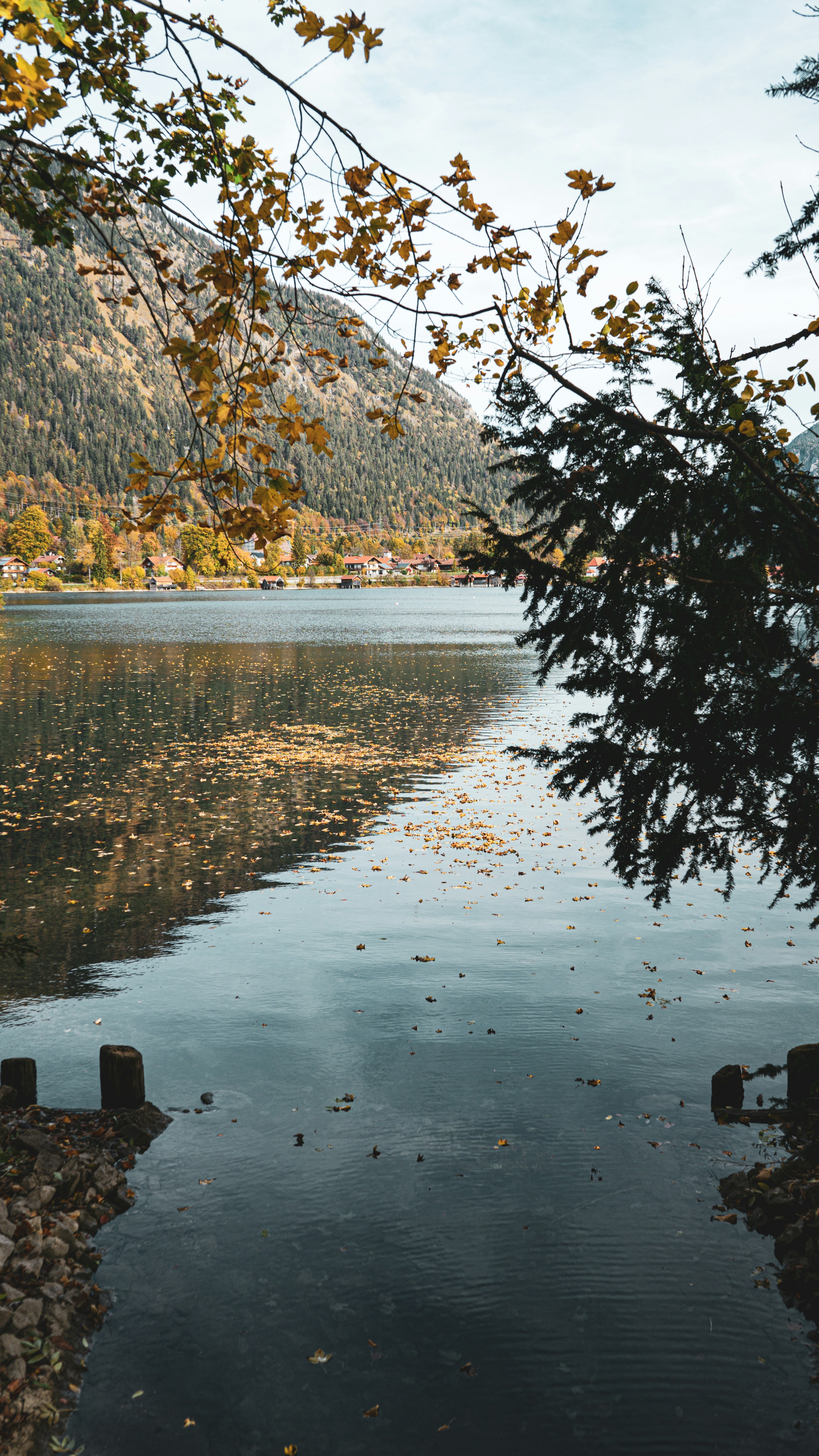 Autumn Mountain Lake View