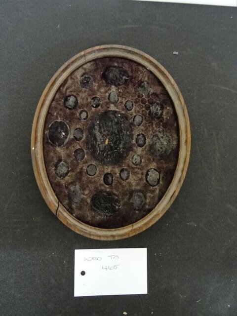 Labeled Oval Mounted Artifact Collection
