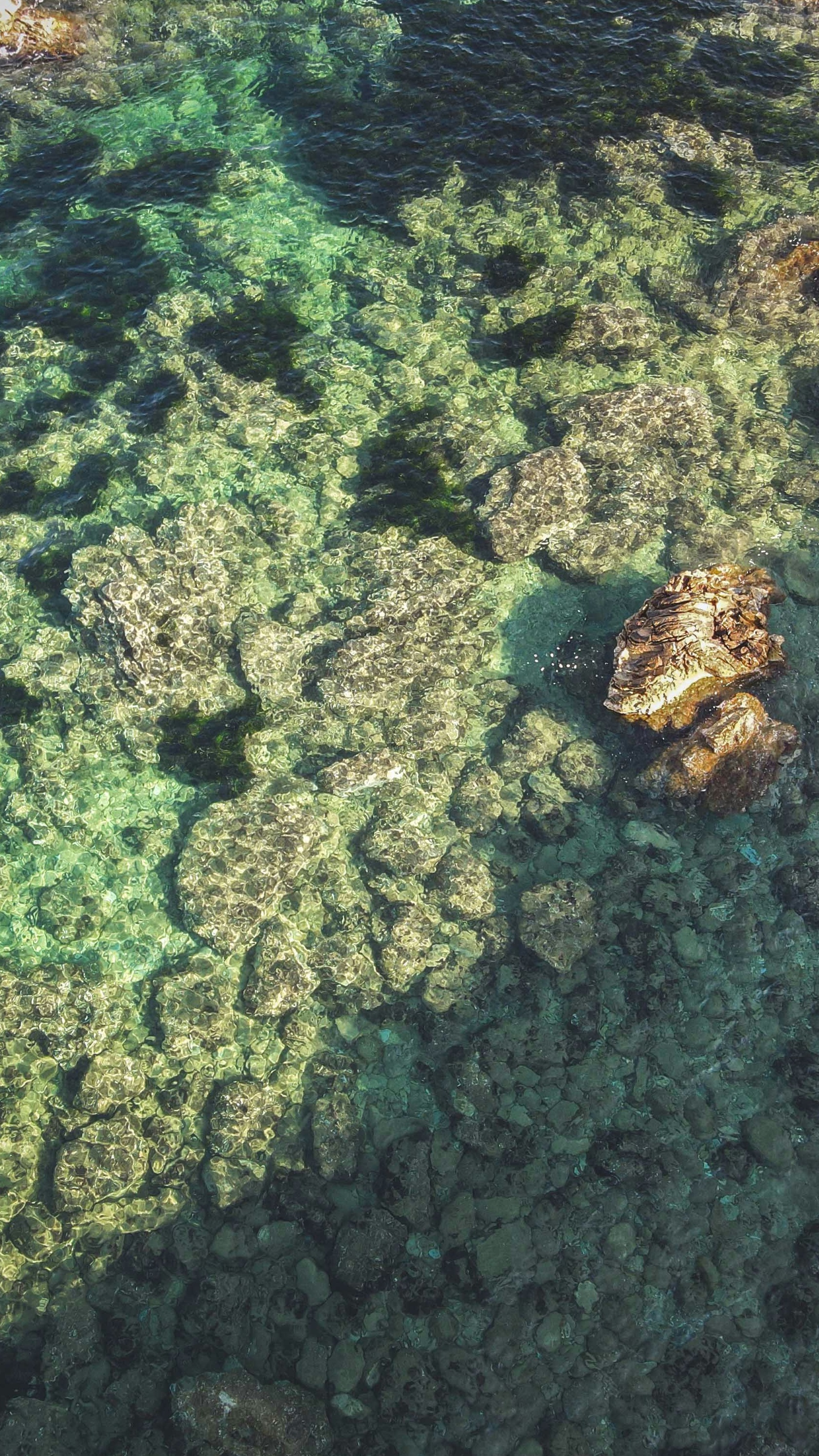Wallpapers