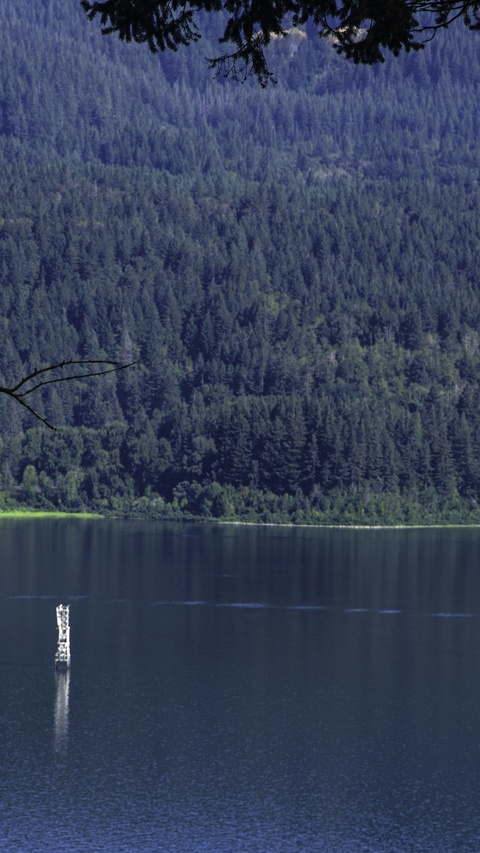 Forested Mountain Lake View