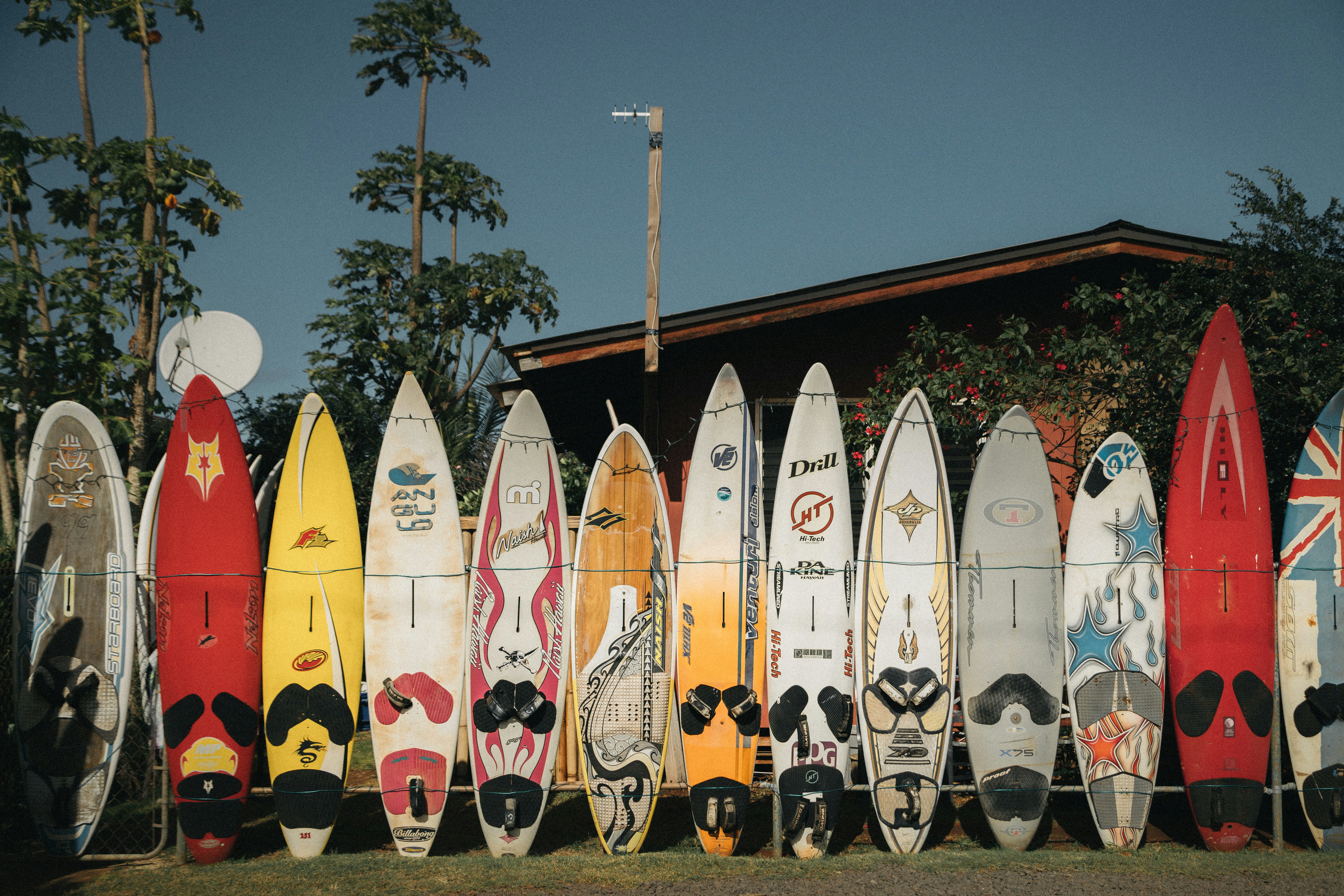 Row of Surfboards Against Fence