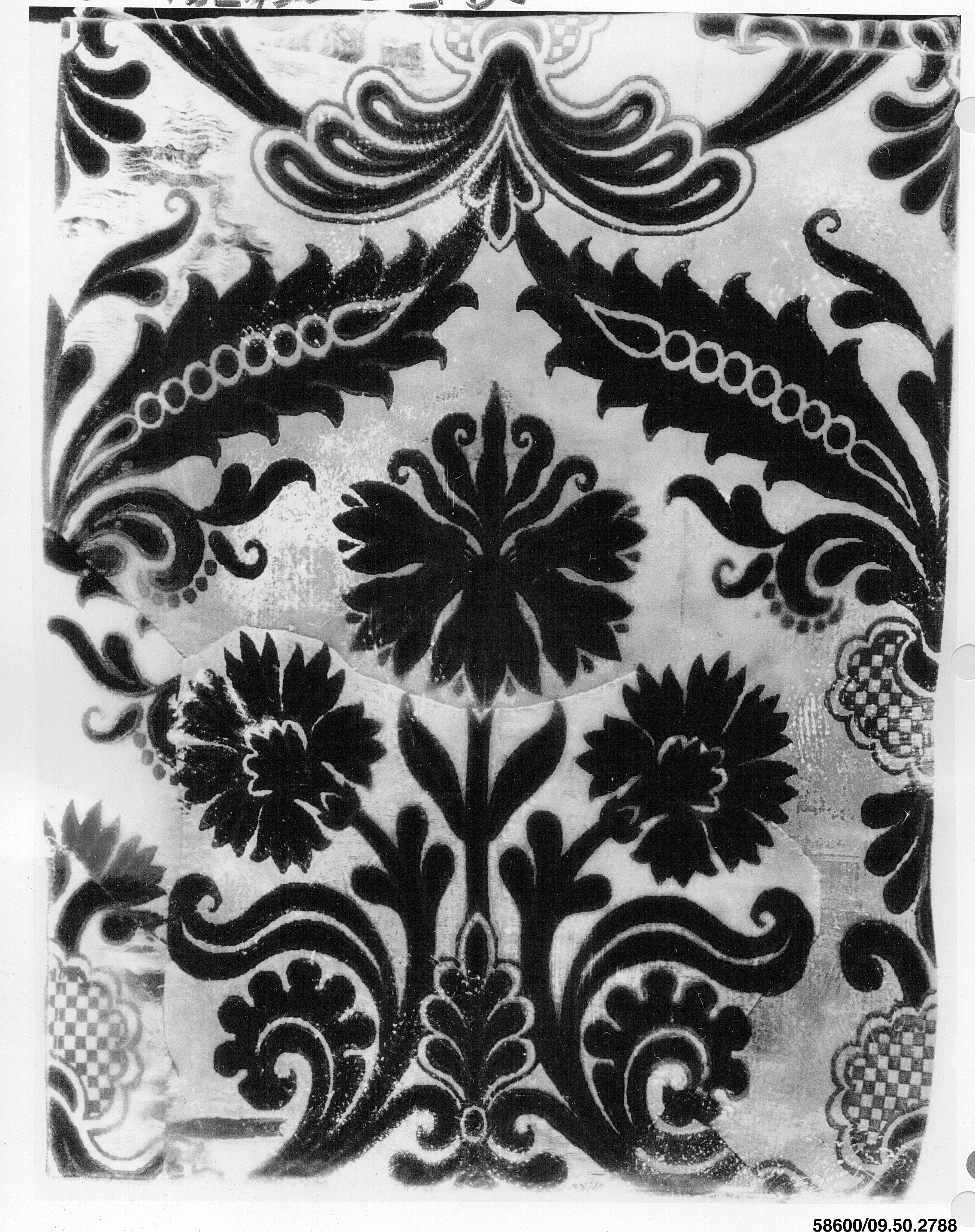 Black and White Floral Textile Pattern