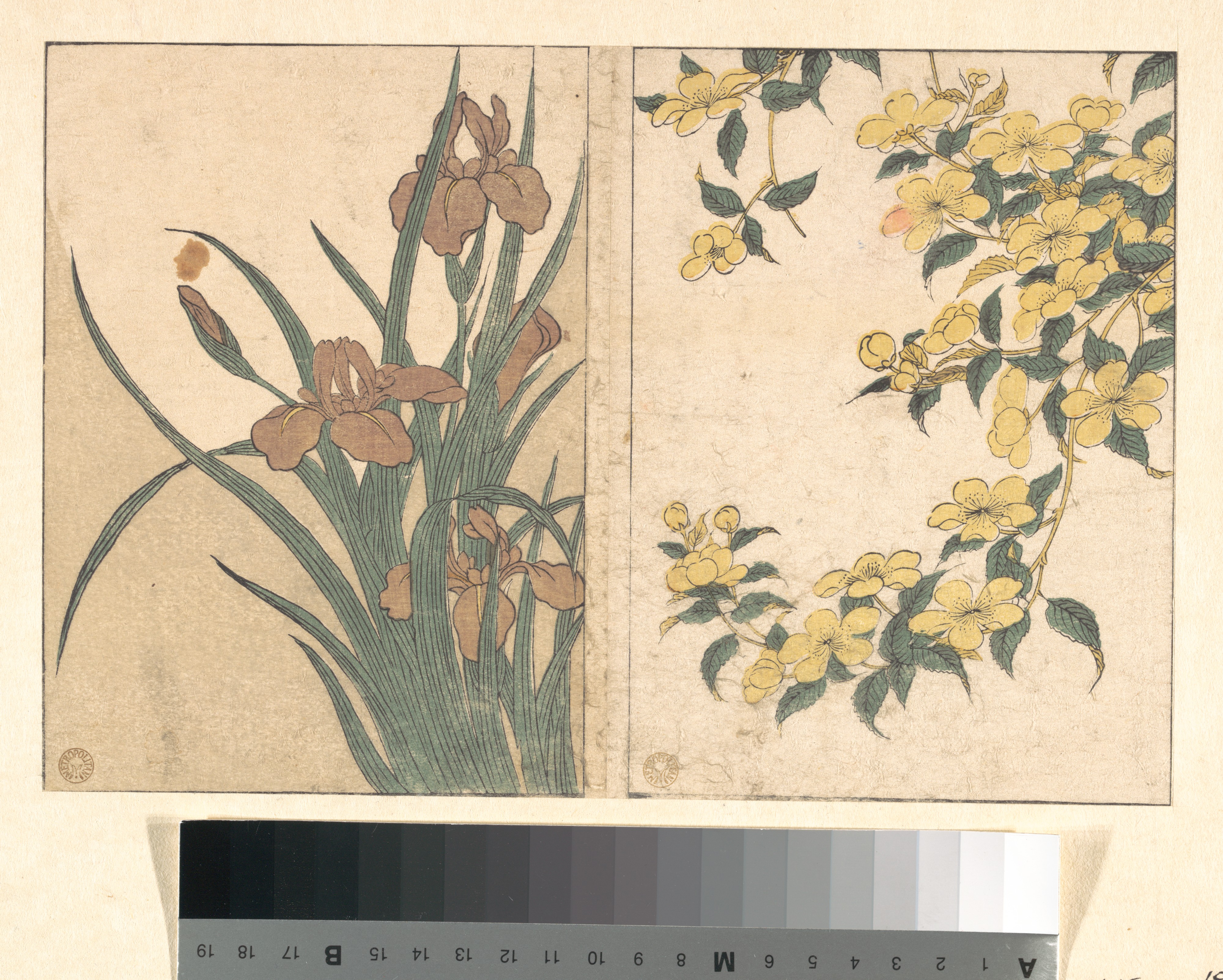 Japanese Floral Woodblock Prints