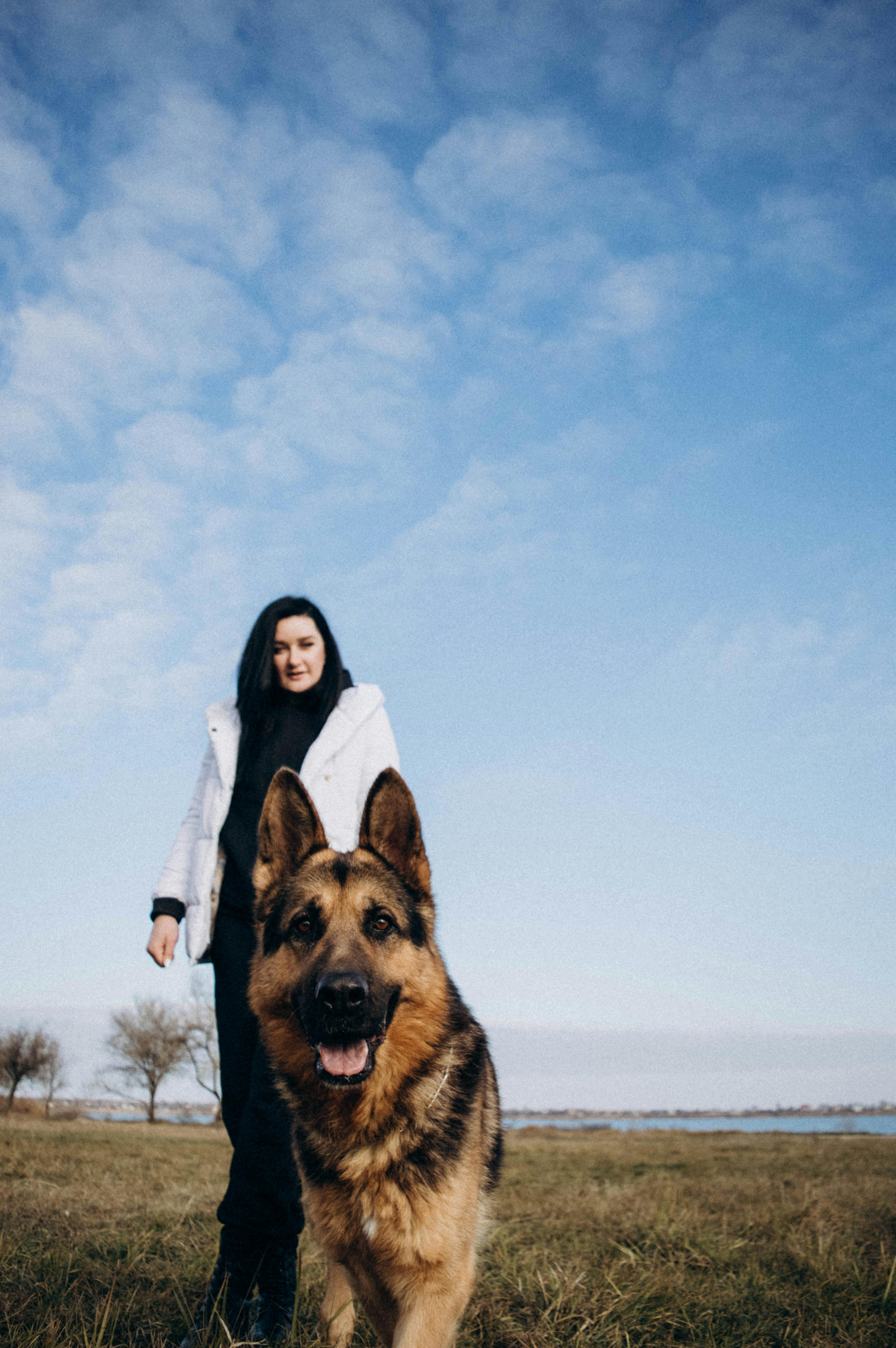 Woman And German Shepherd Outdoors