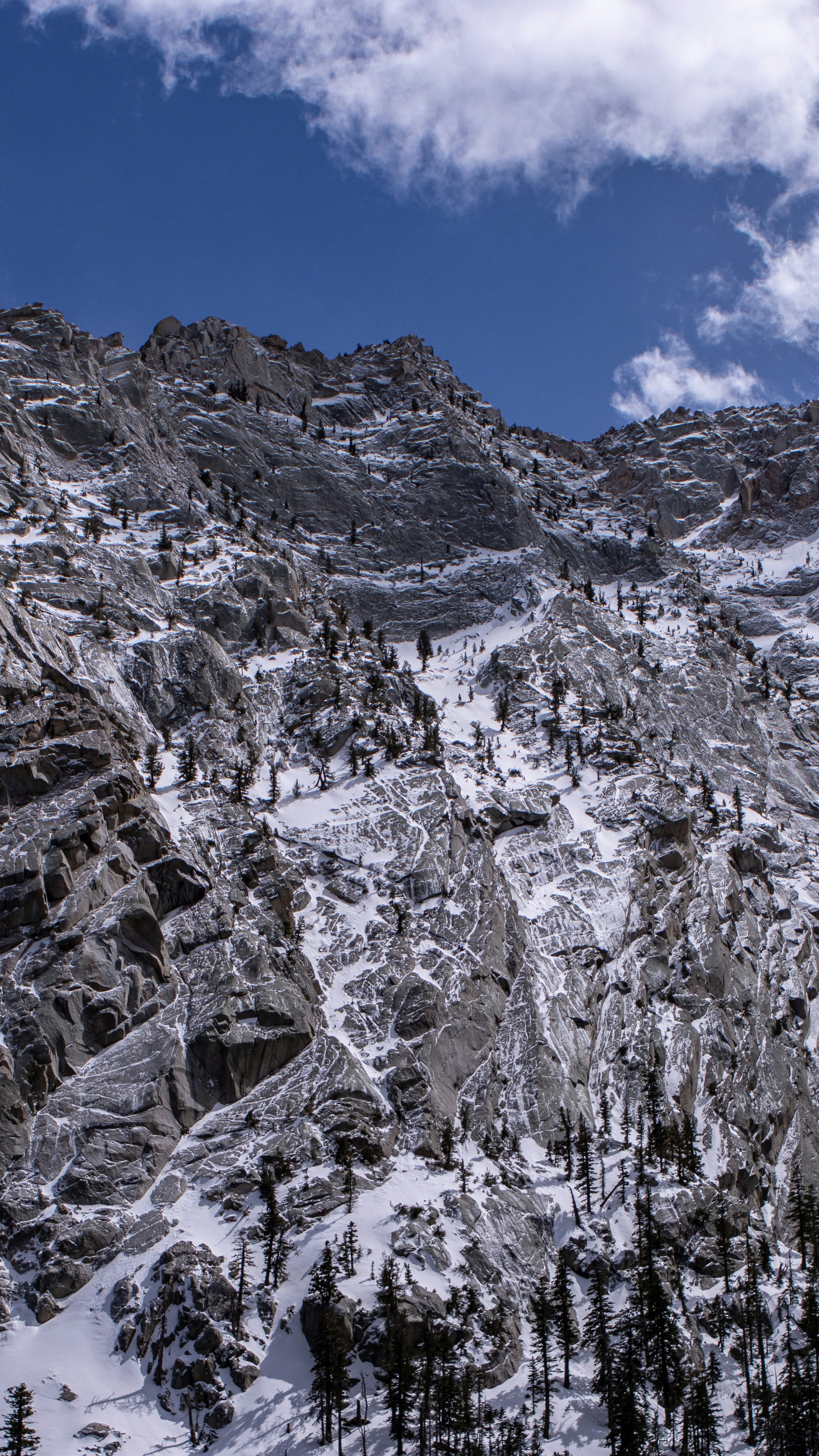 Snow-Covered Rocky Mountain Slope