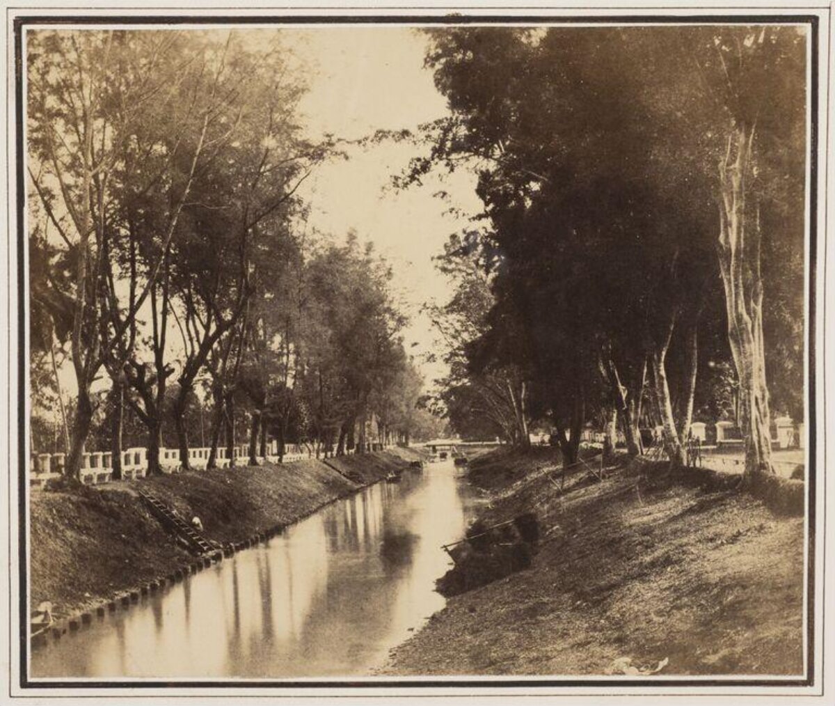Vintage Tree-Lined Canal View